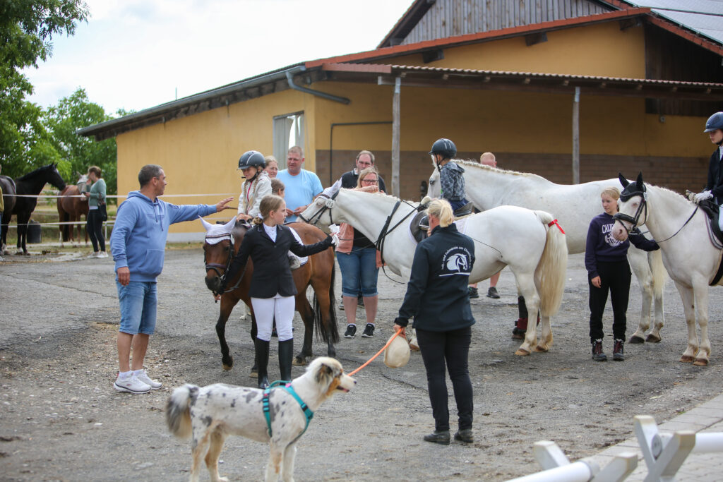 Buttenheim_Turnier_Tierfotos_Nürnberg