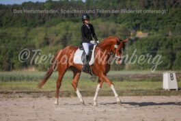 Turnierfoto