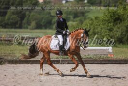 Turnierfoto