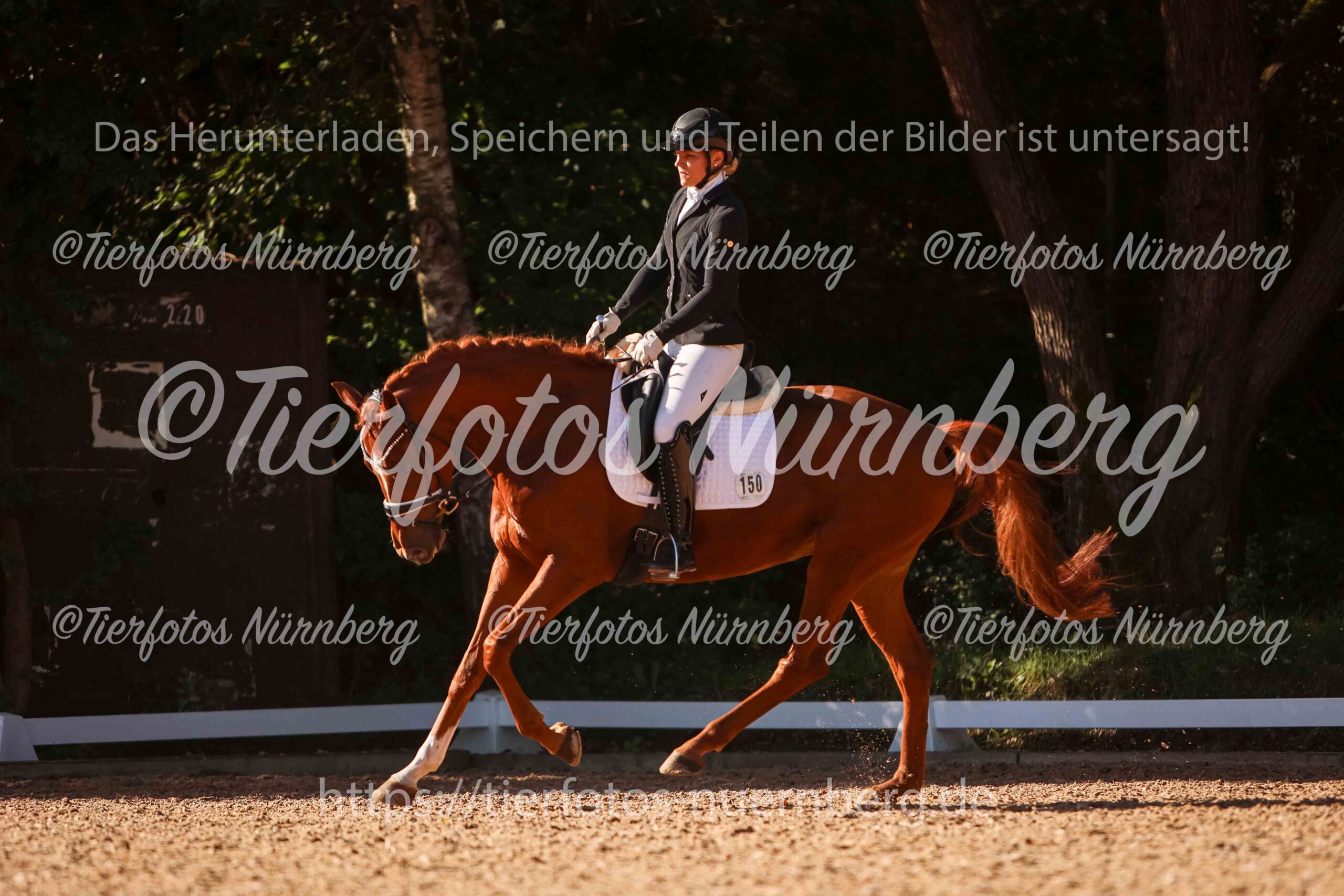TFN_0537_WZ-1.jpg