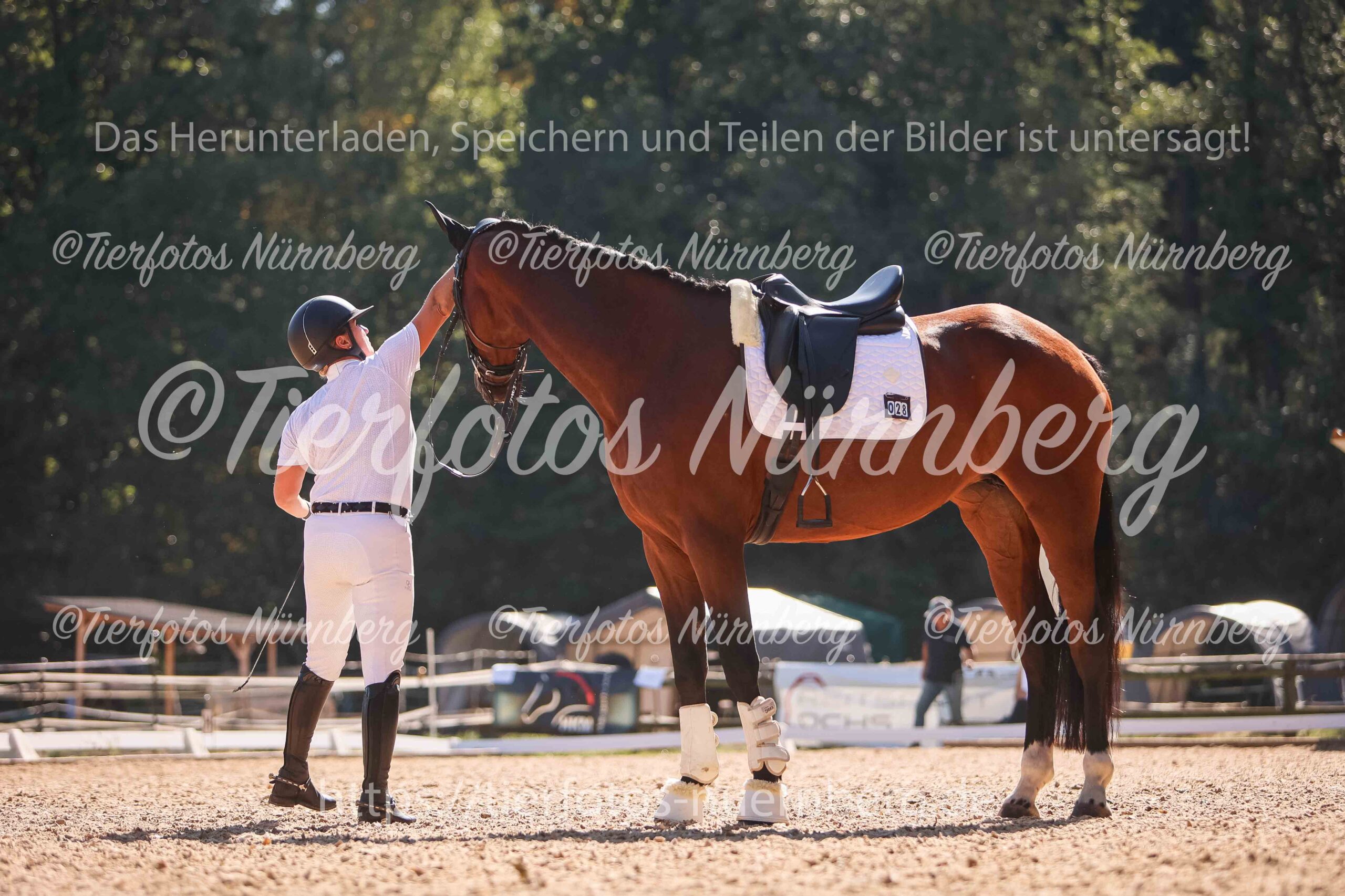 TFN_0685_WZ.jpg