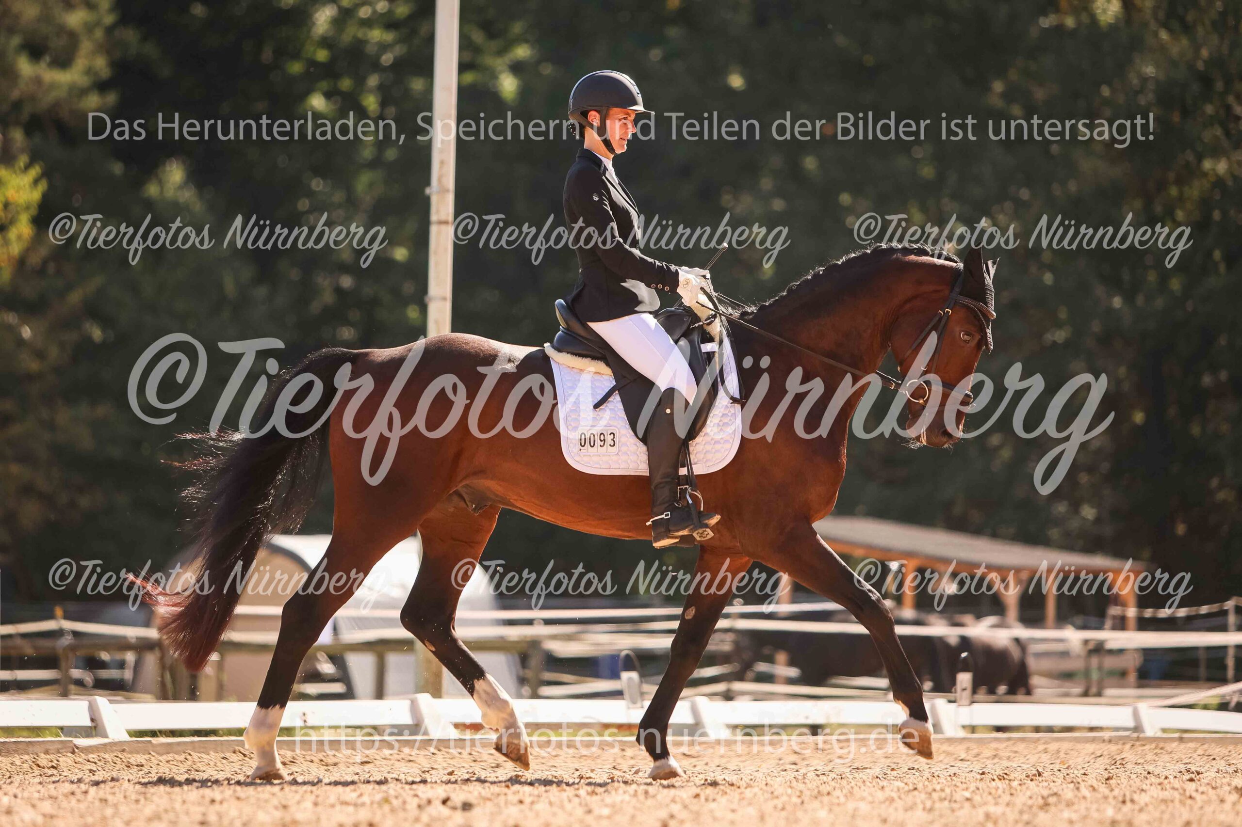 TFN_0770_WZ.jpg