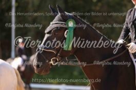 Turnierfoto