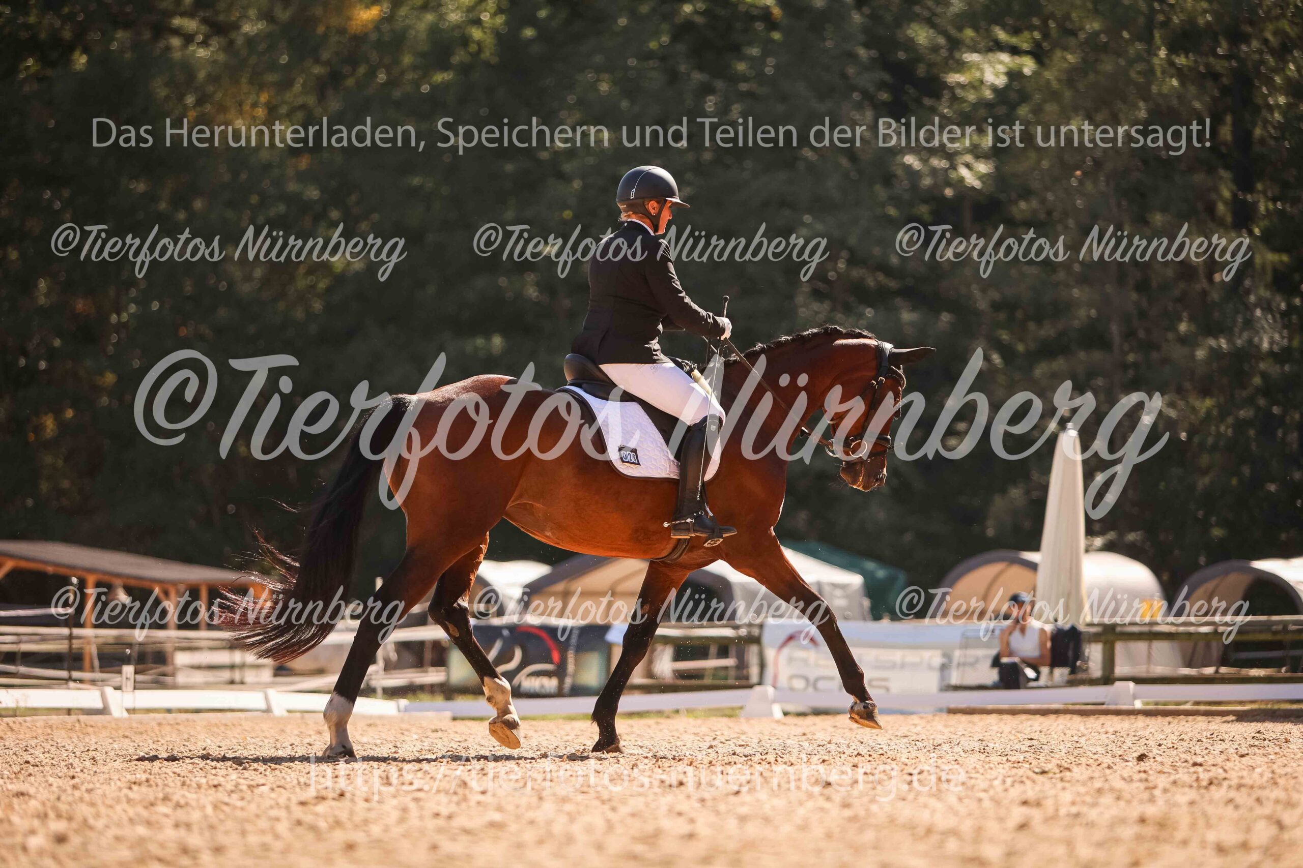 TFN_0907_WZ.jpg