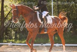 Turnierfoto