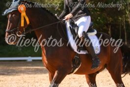 Turnierfoto