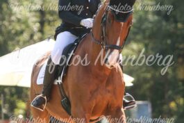 Turnierfoto