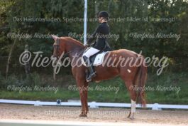 Turnierfoto