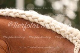 Turnierfoto