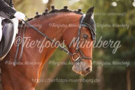 Turnierfoto