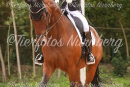 Turnierfoto
