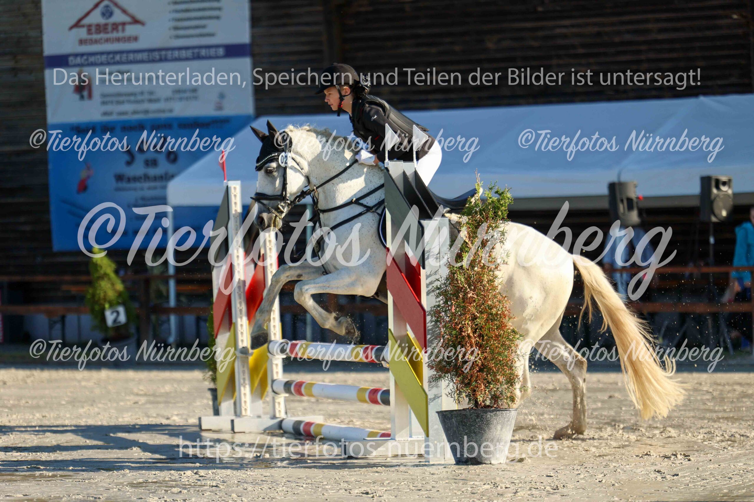 Turnierfoto