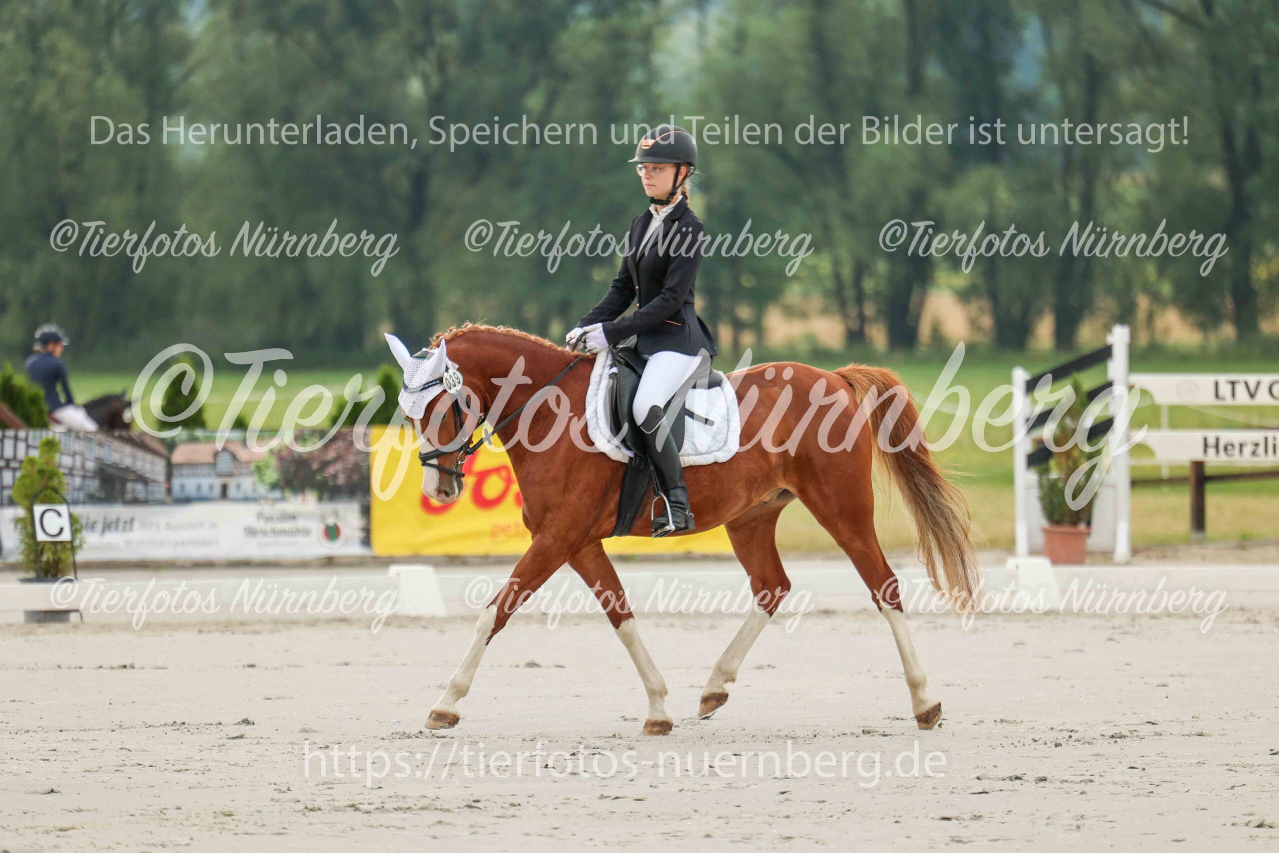 Turnierfoto