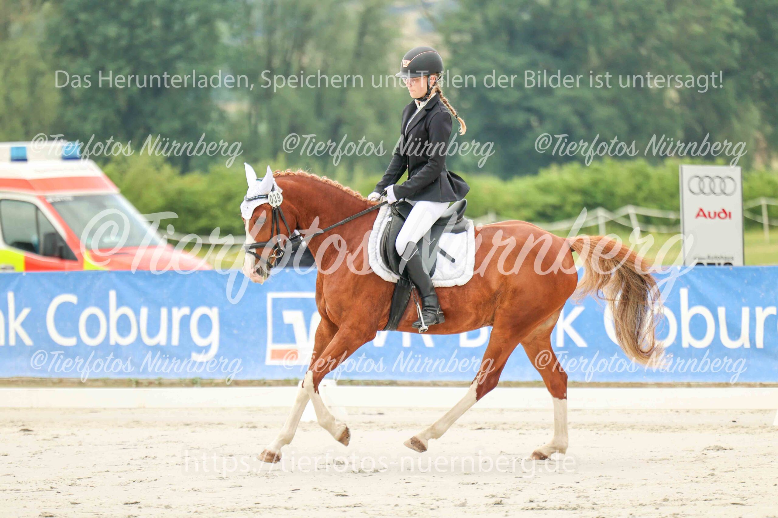 Turnierfoto