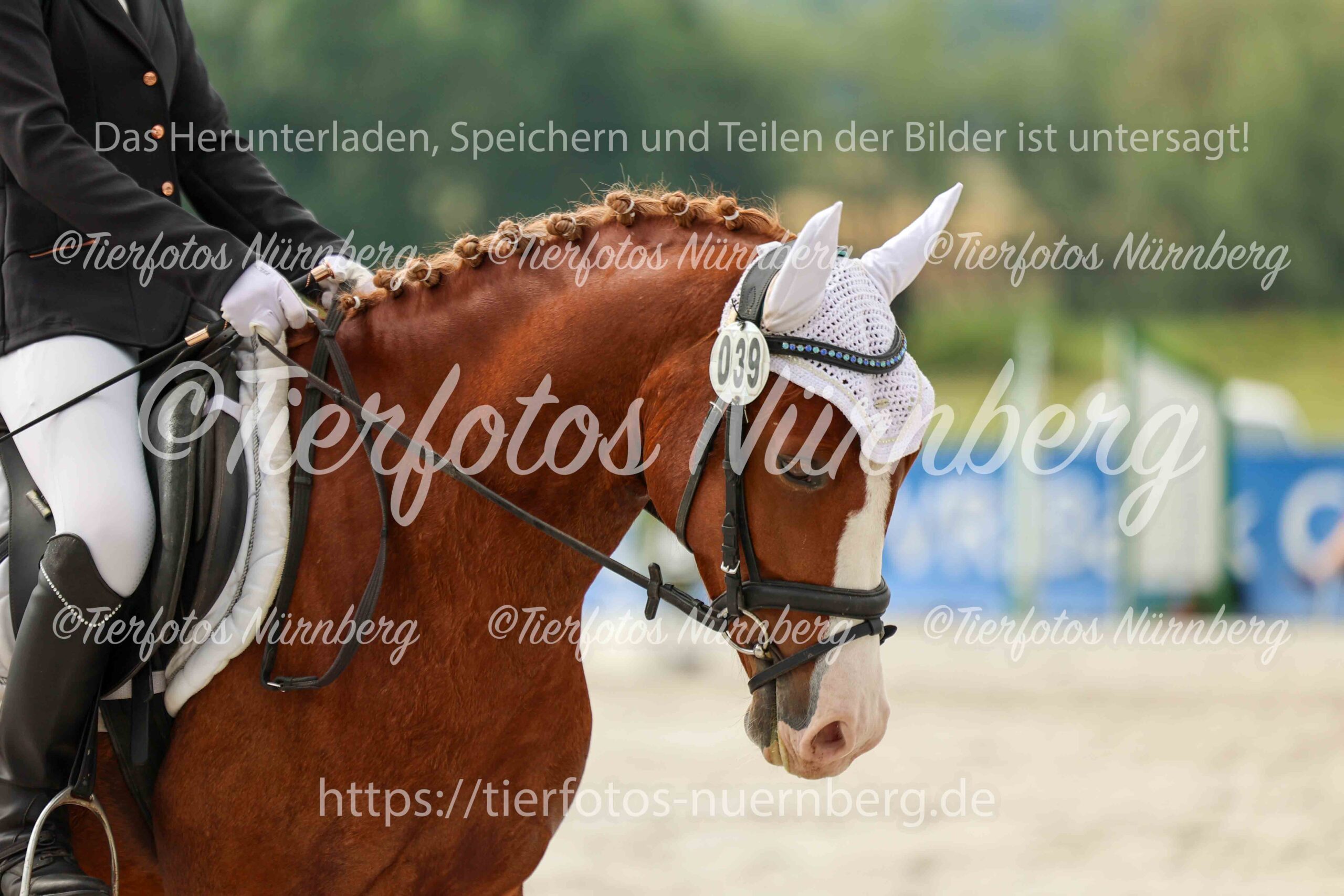 Turnierfoto