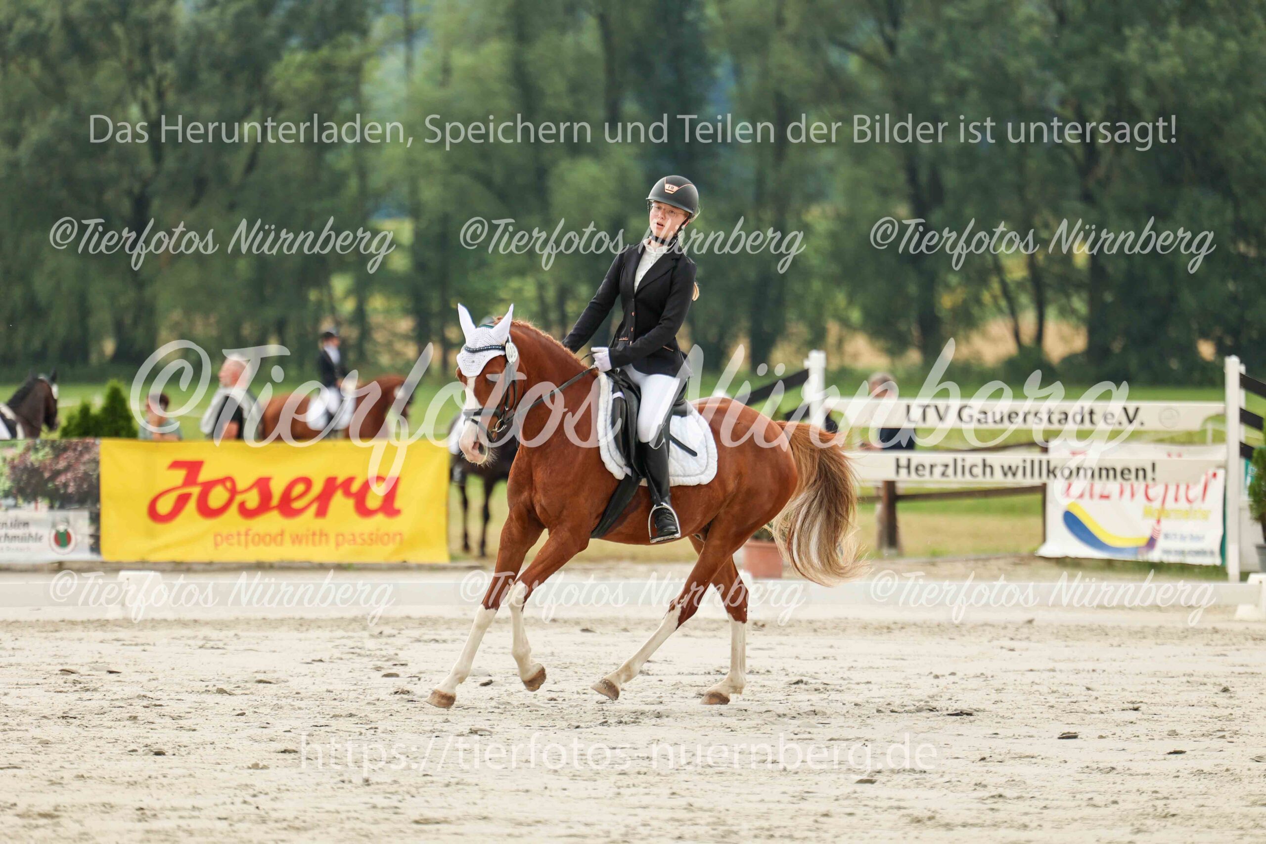 Turnierfoto