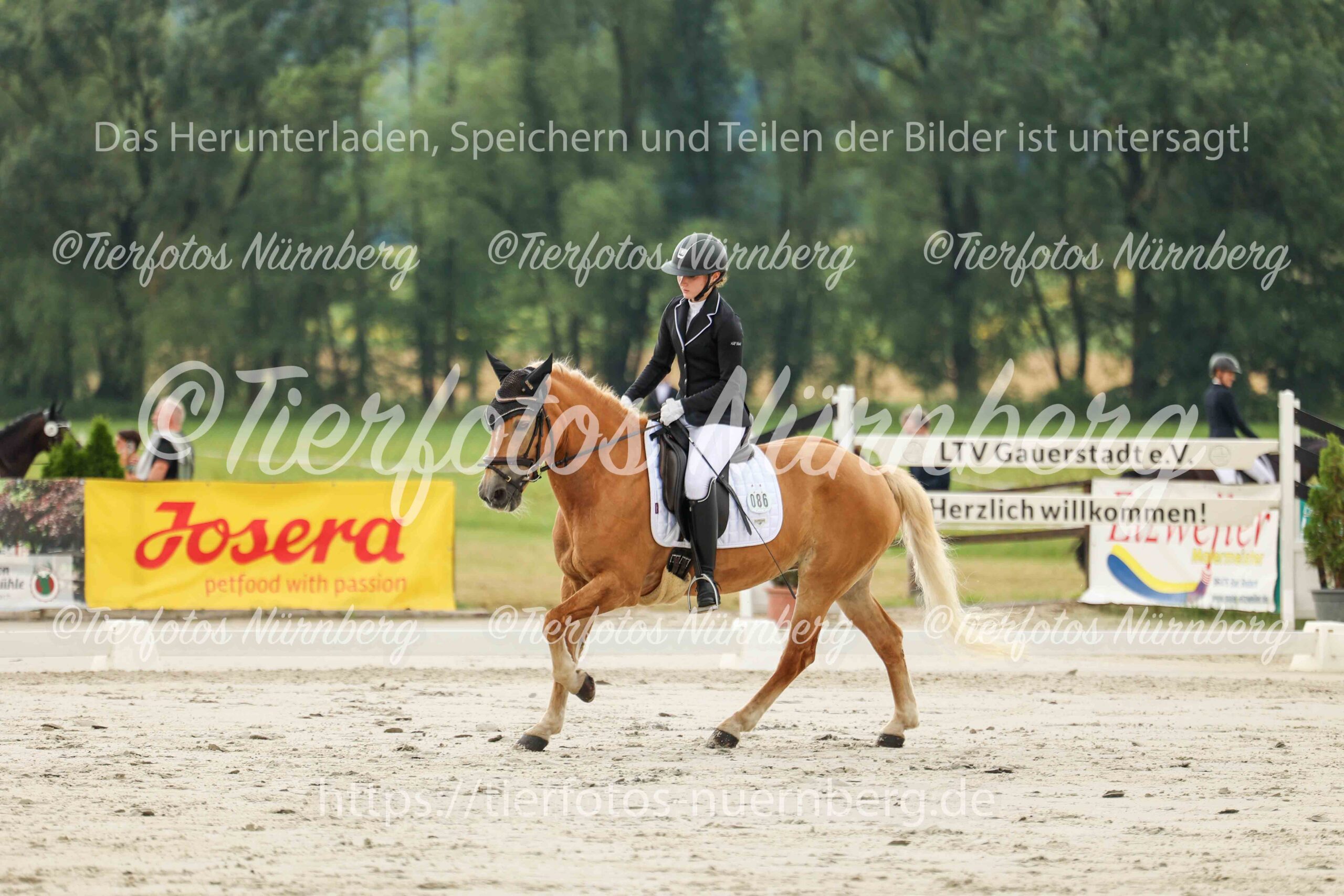 Turnierfoto