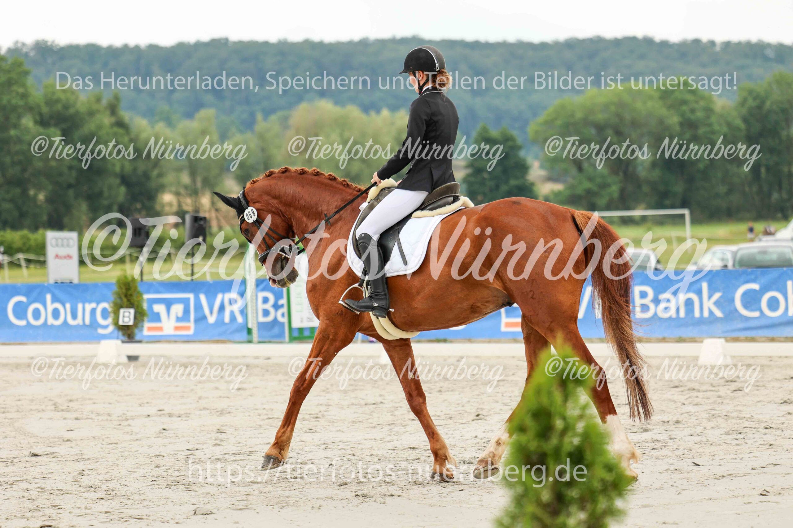 Turnierfoto