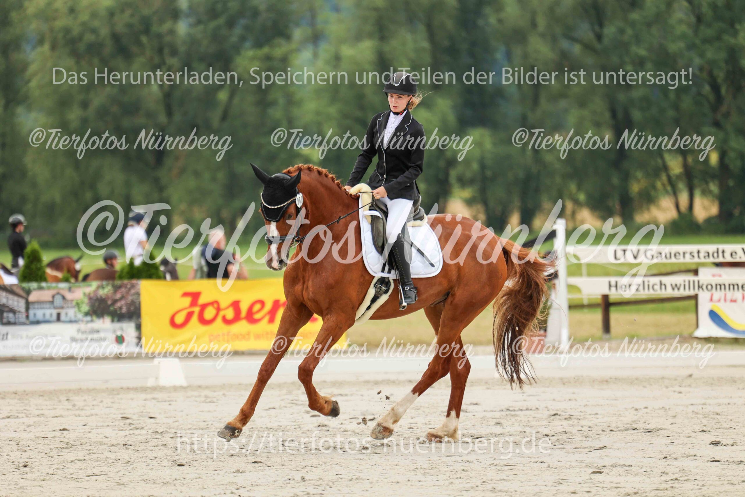 Turnierfoto