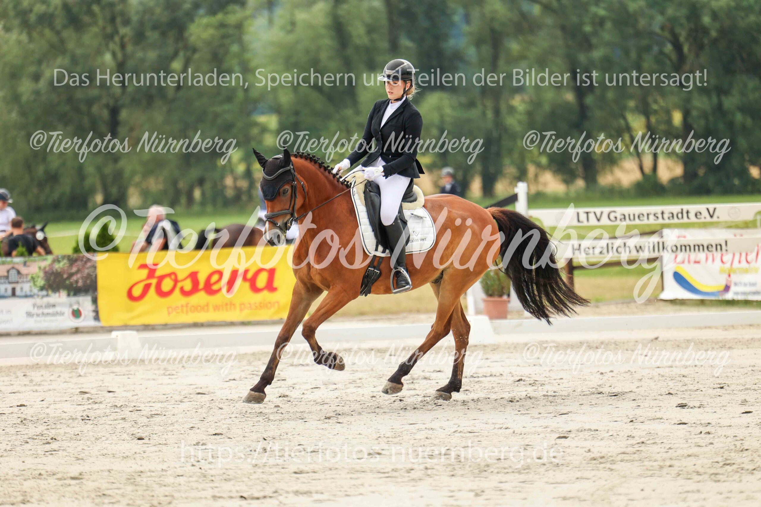Turnierfoto