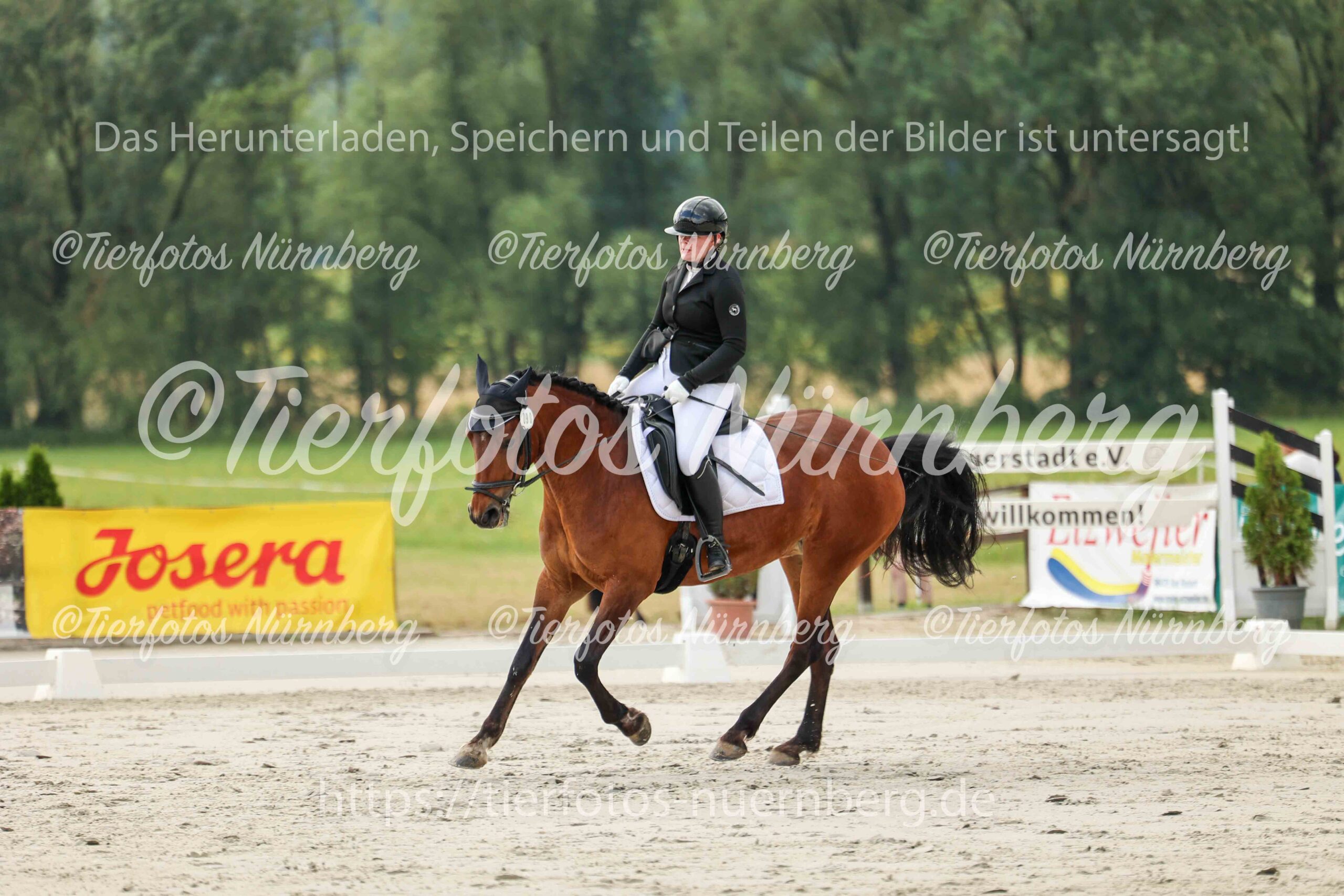 Turnierfoto