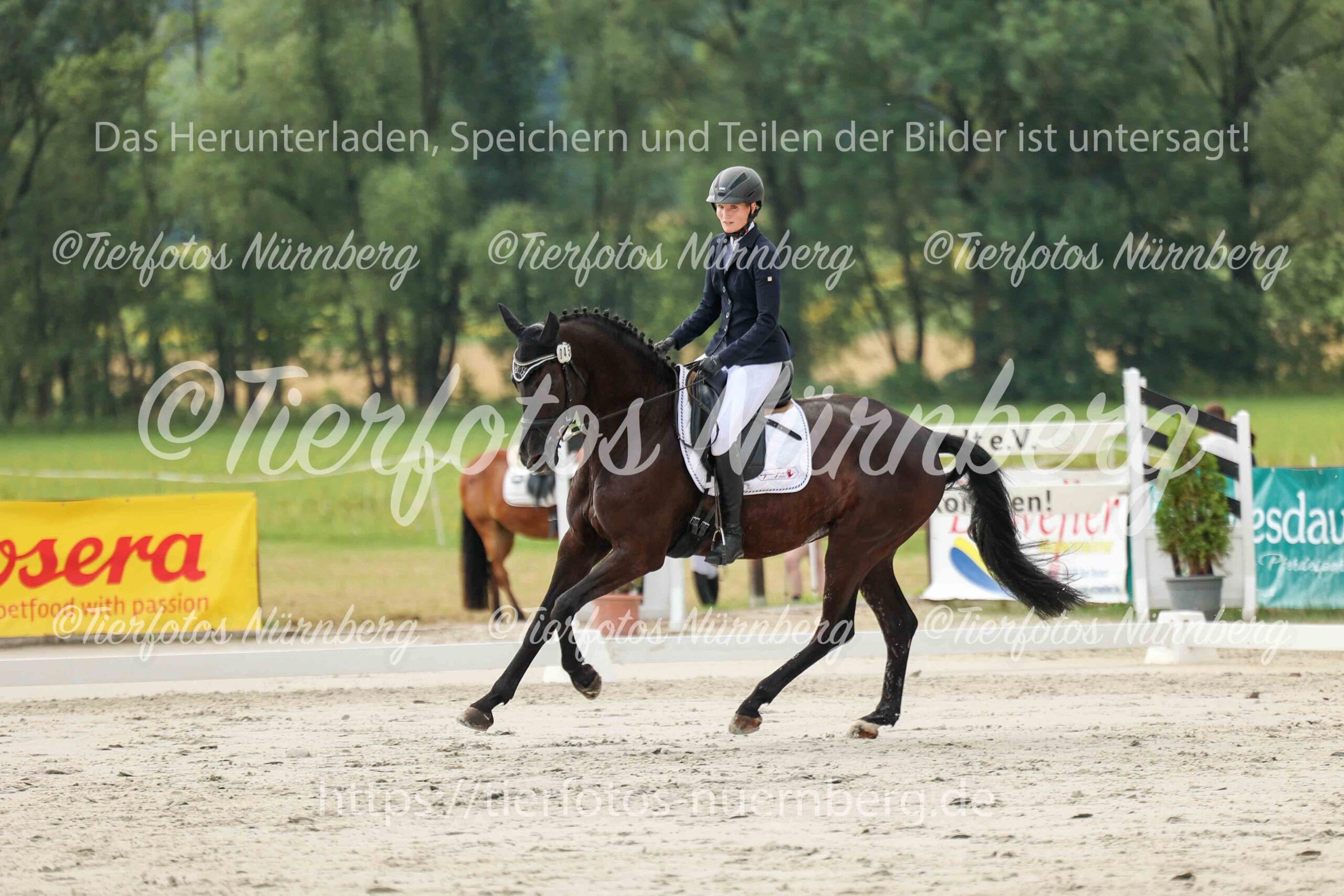 Turnierfoto