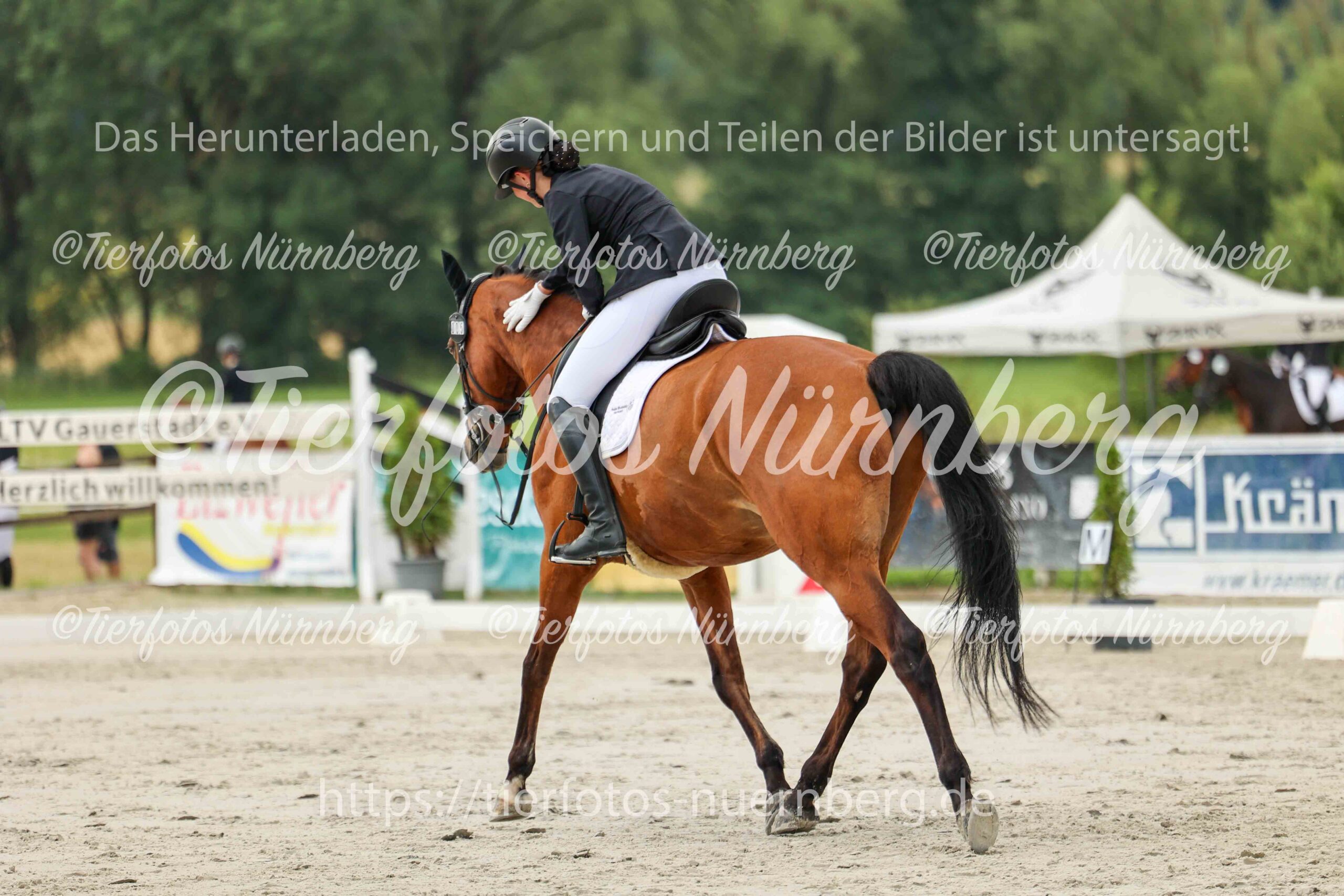 Turnierfoto