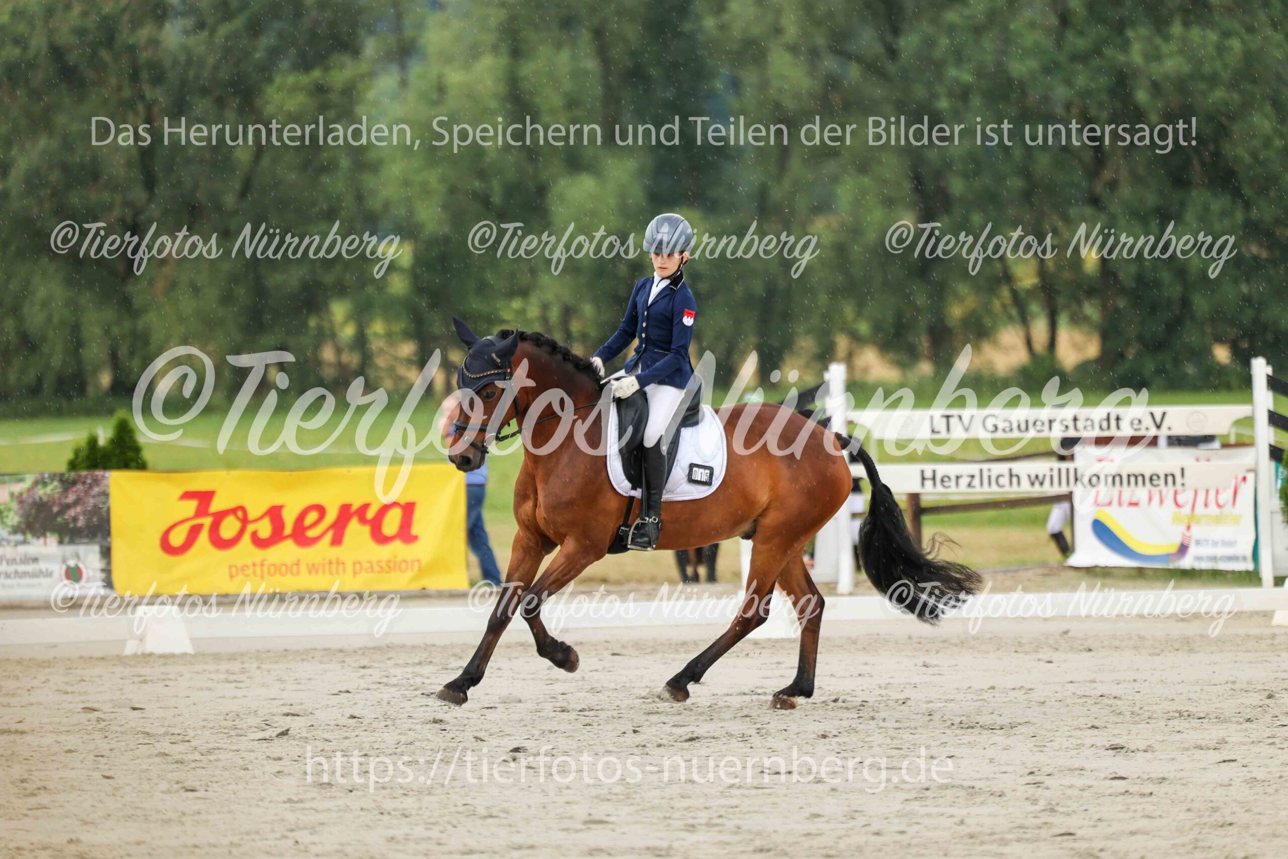 Turnierfoto