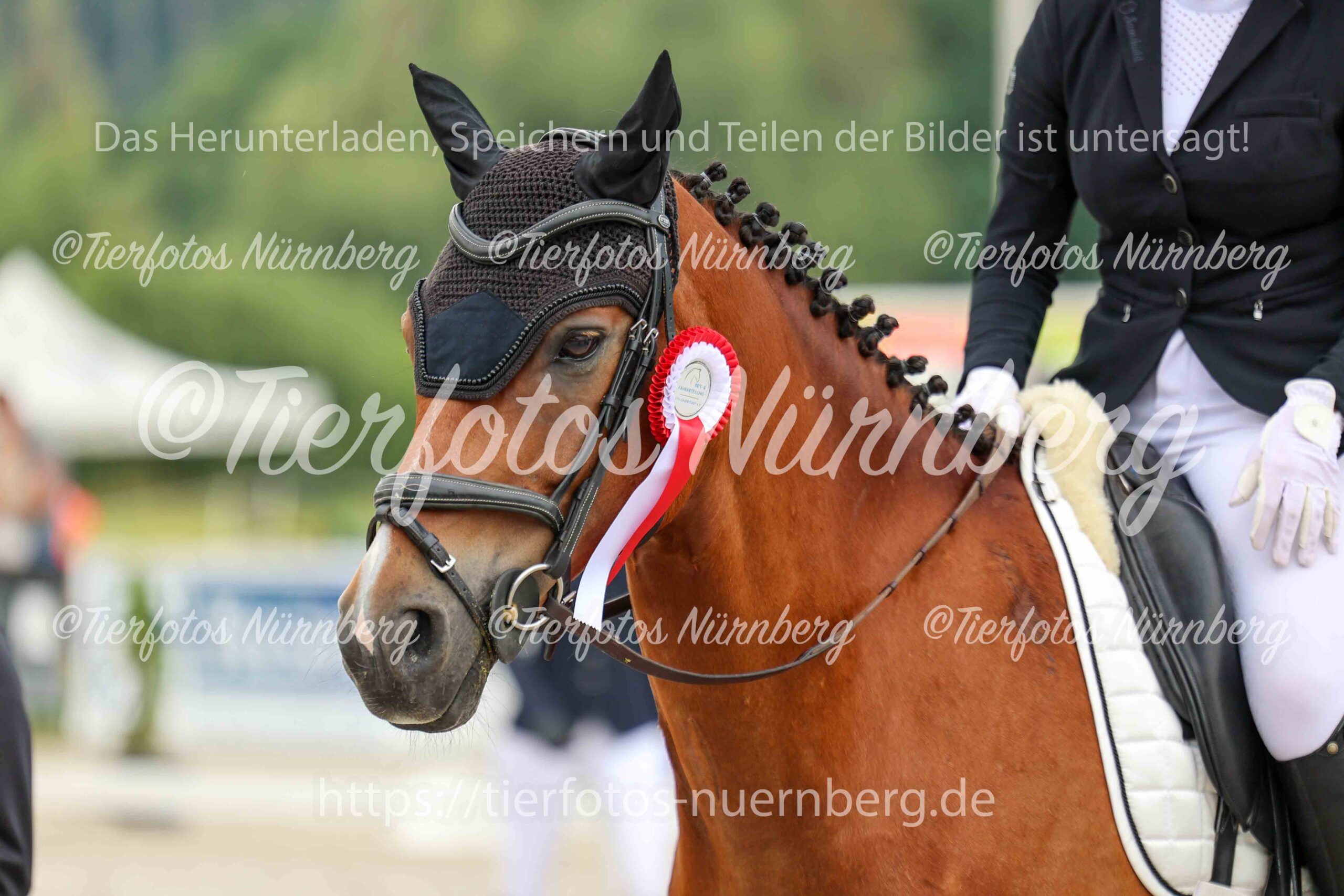 Turnierfoto