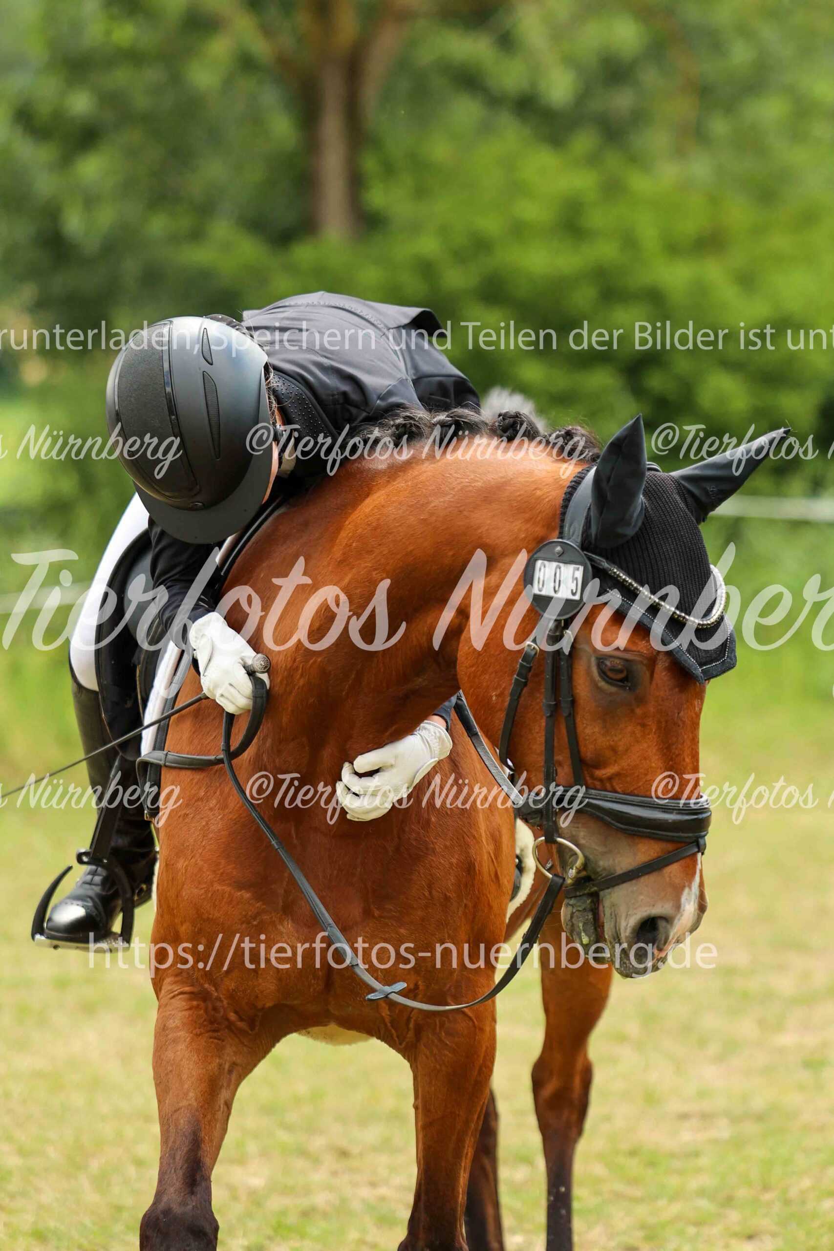 Turnierfoto