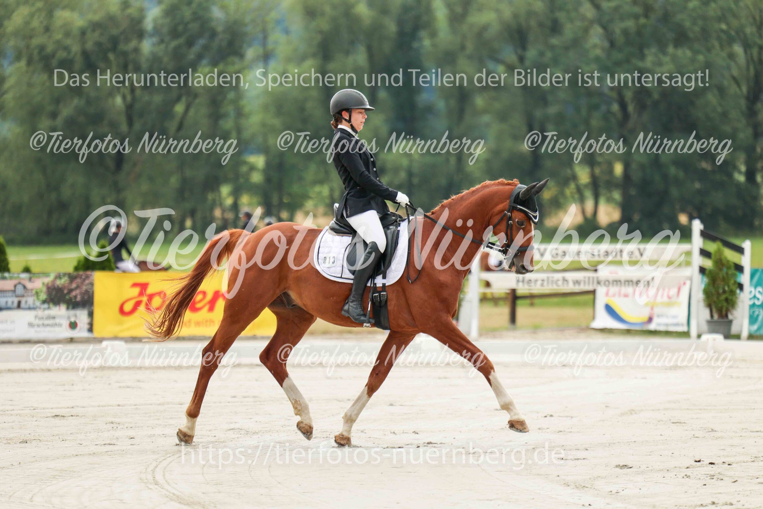 Turnierfoto