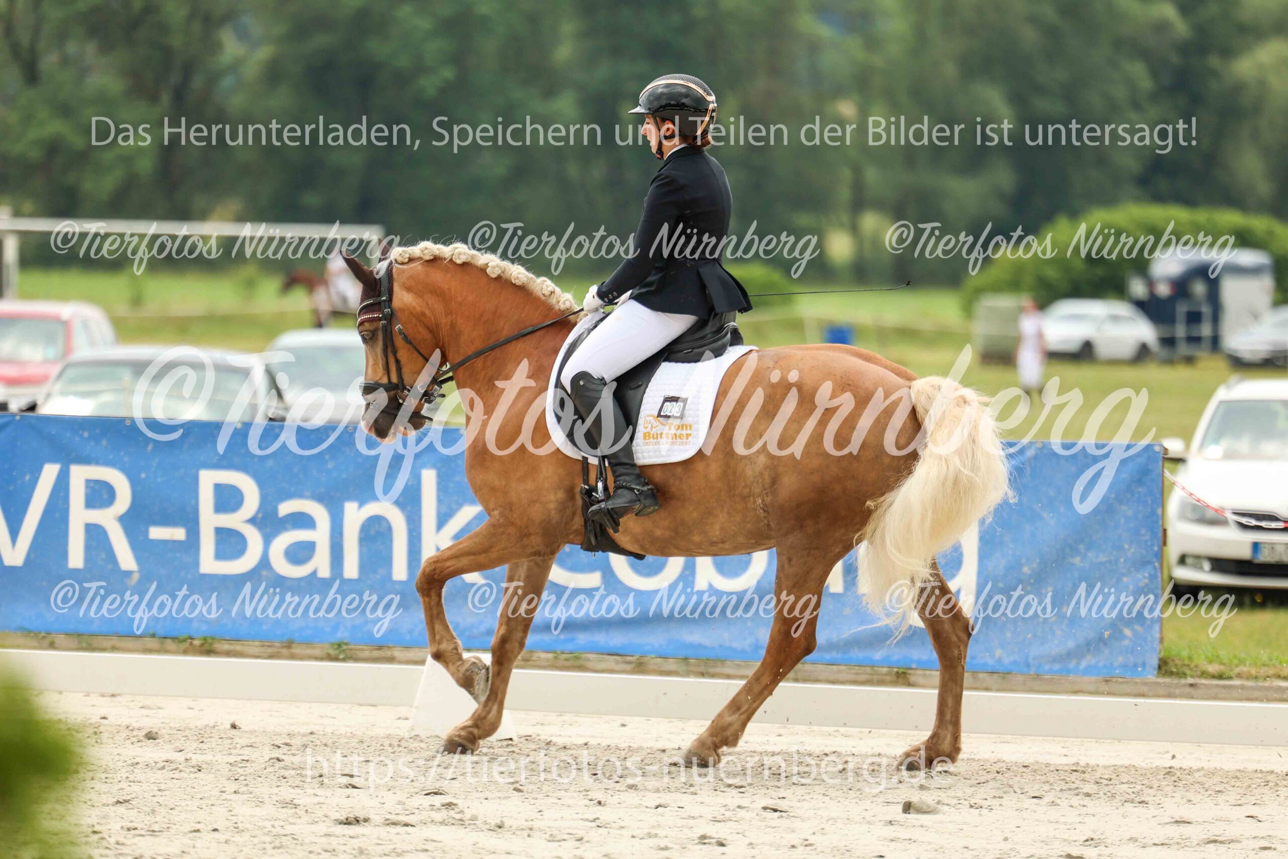 Turnierfoto