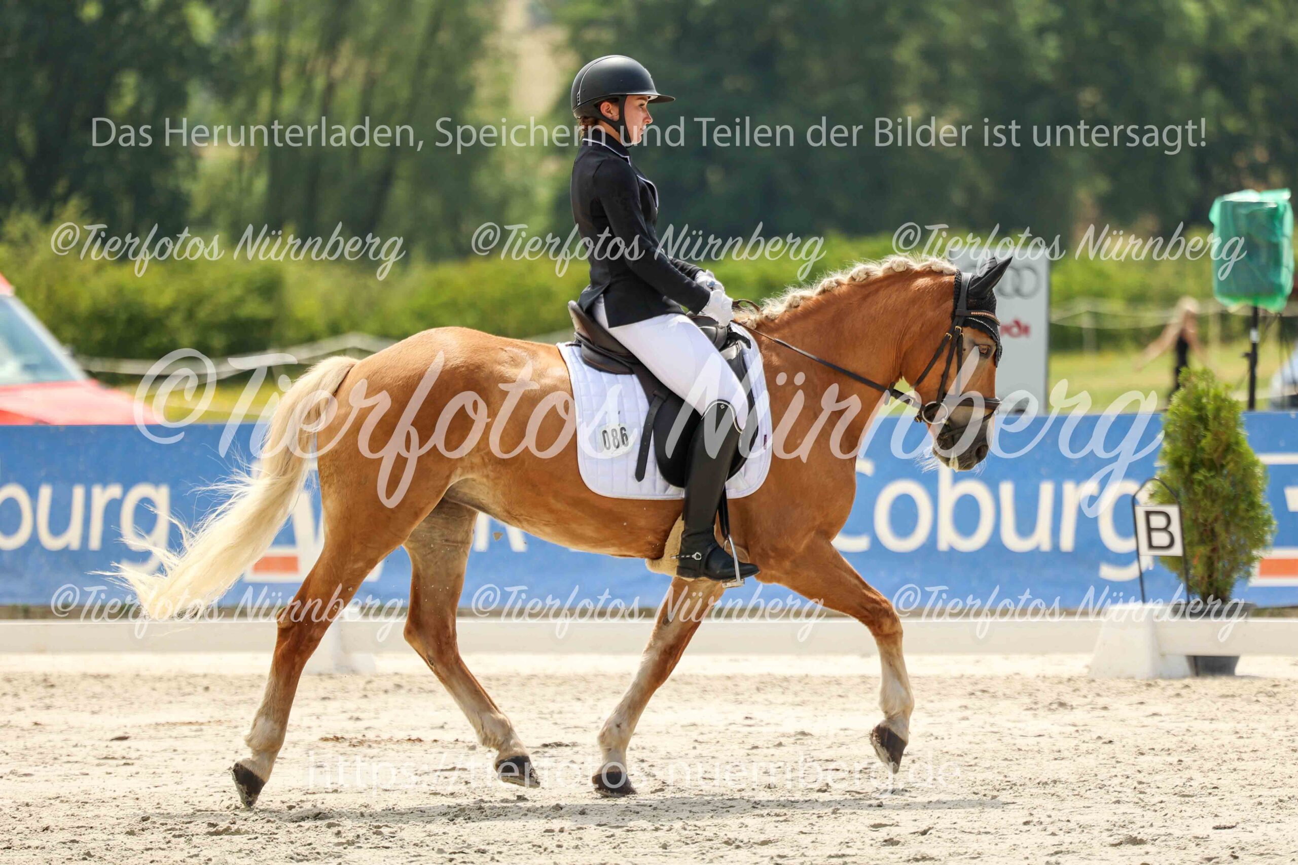Turnierfoto