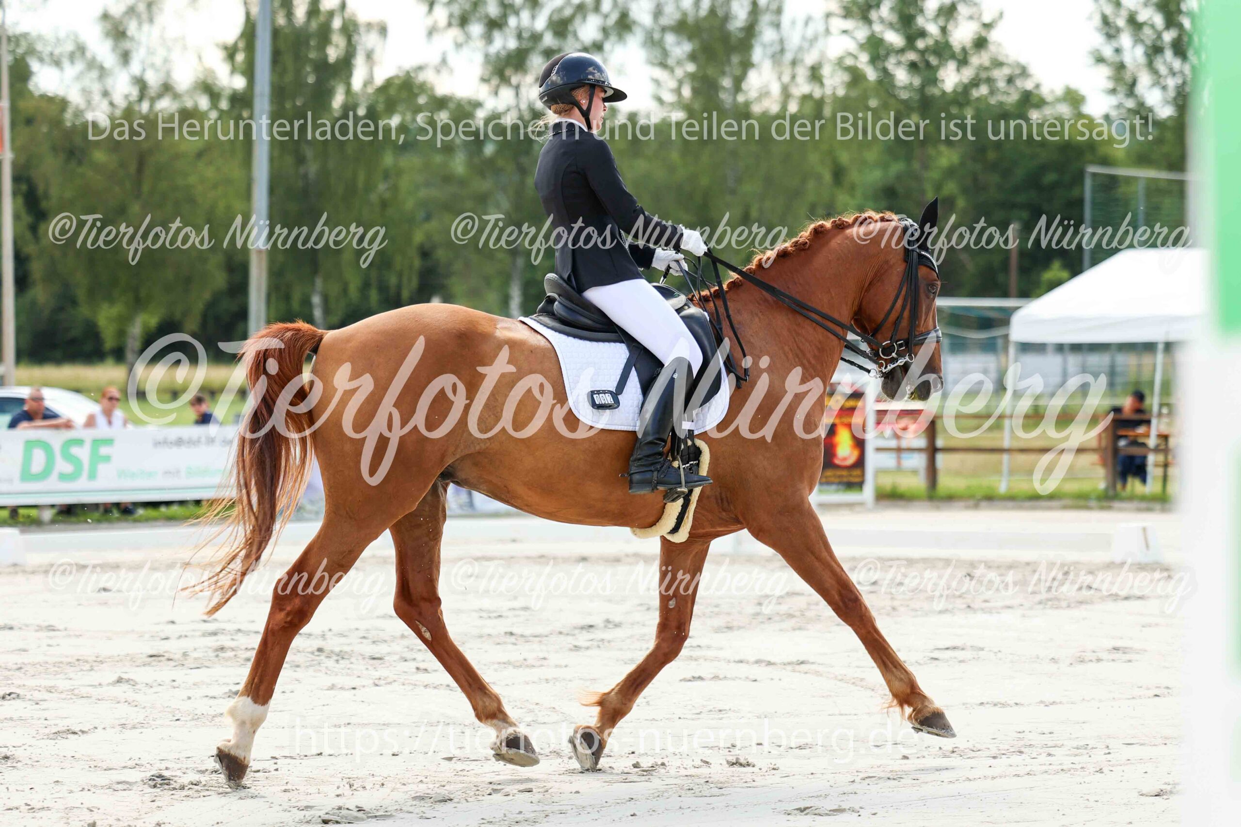 Turnierfoto