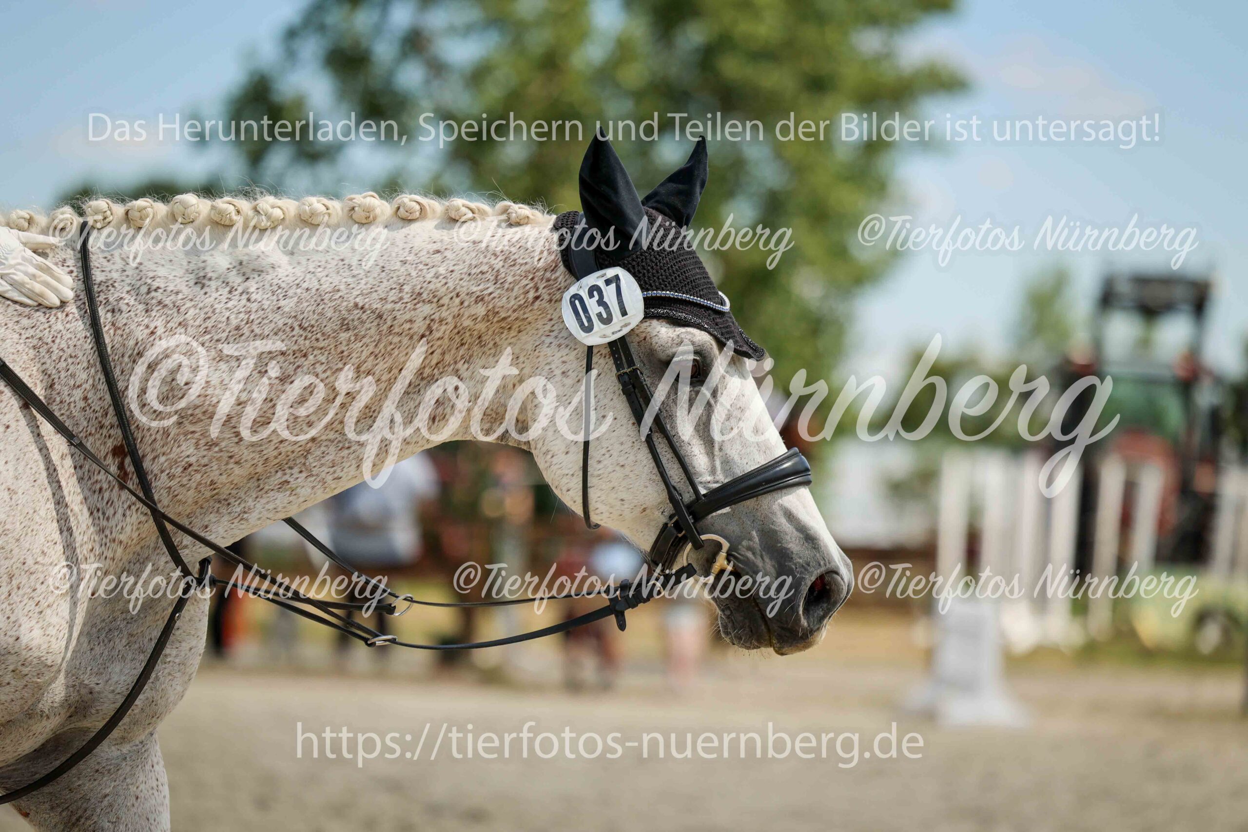 Turnierfoto