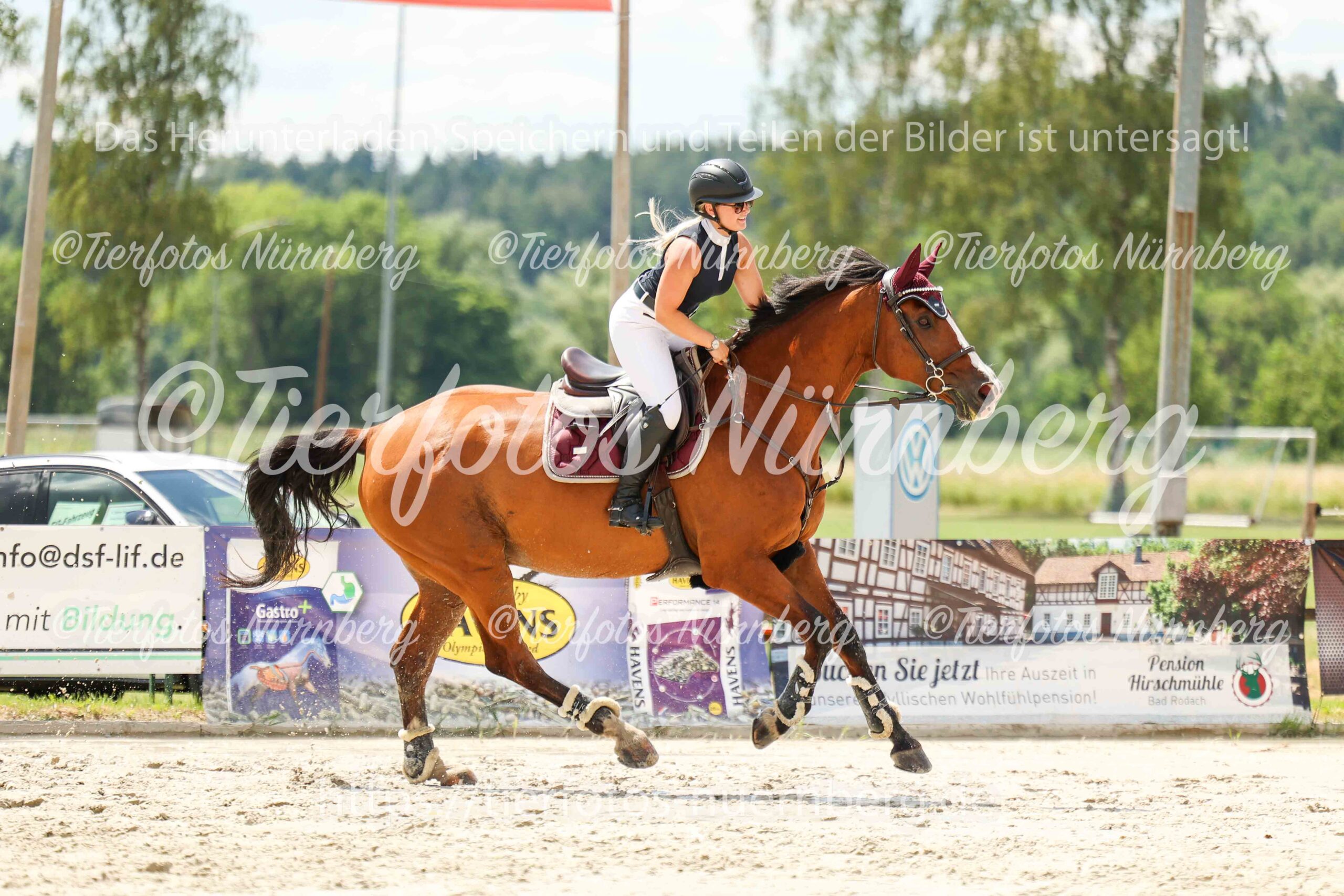 Turnierfoto