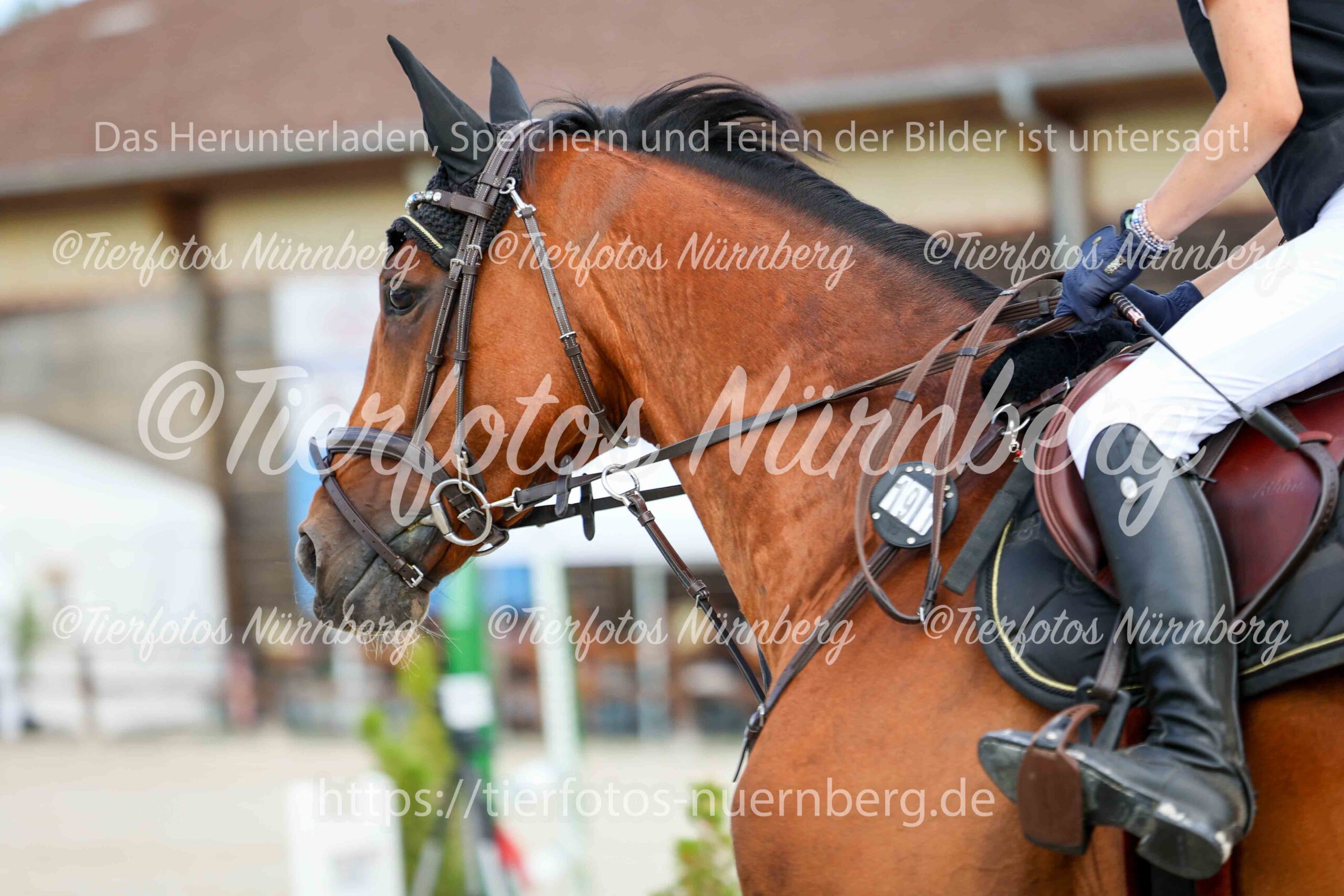 Turnierfoto