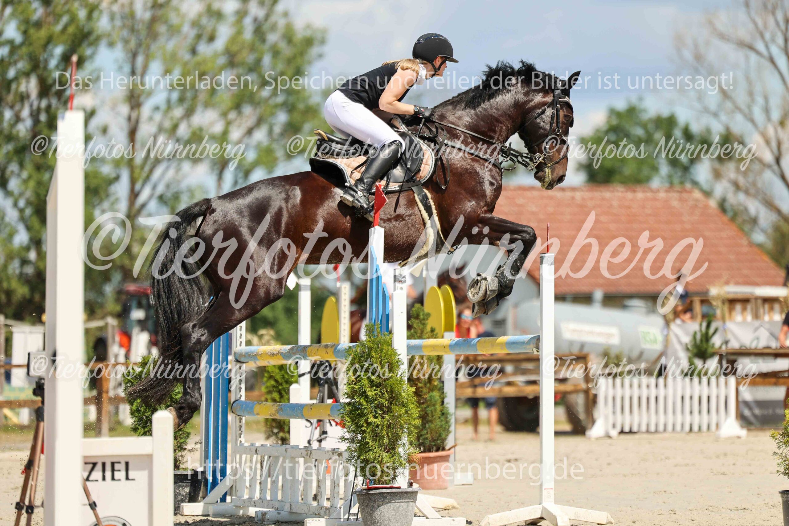 Turnierfoto