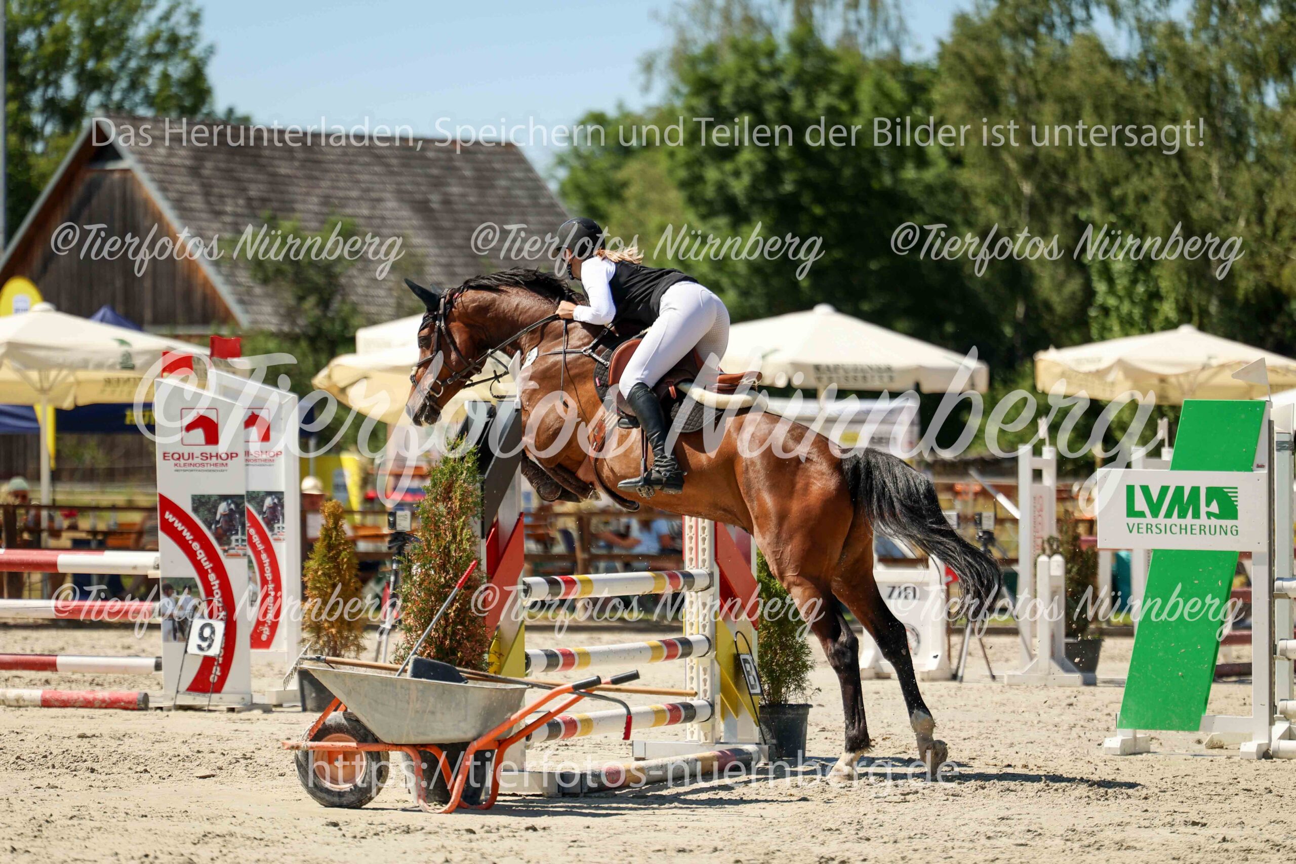 Turnierfoto