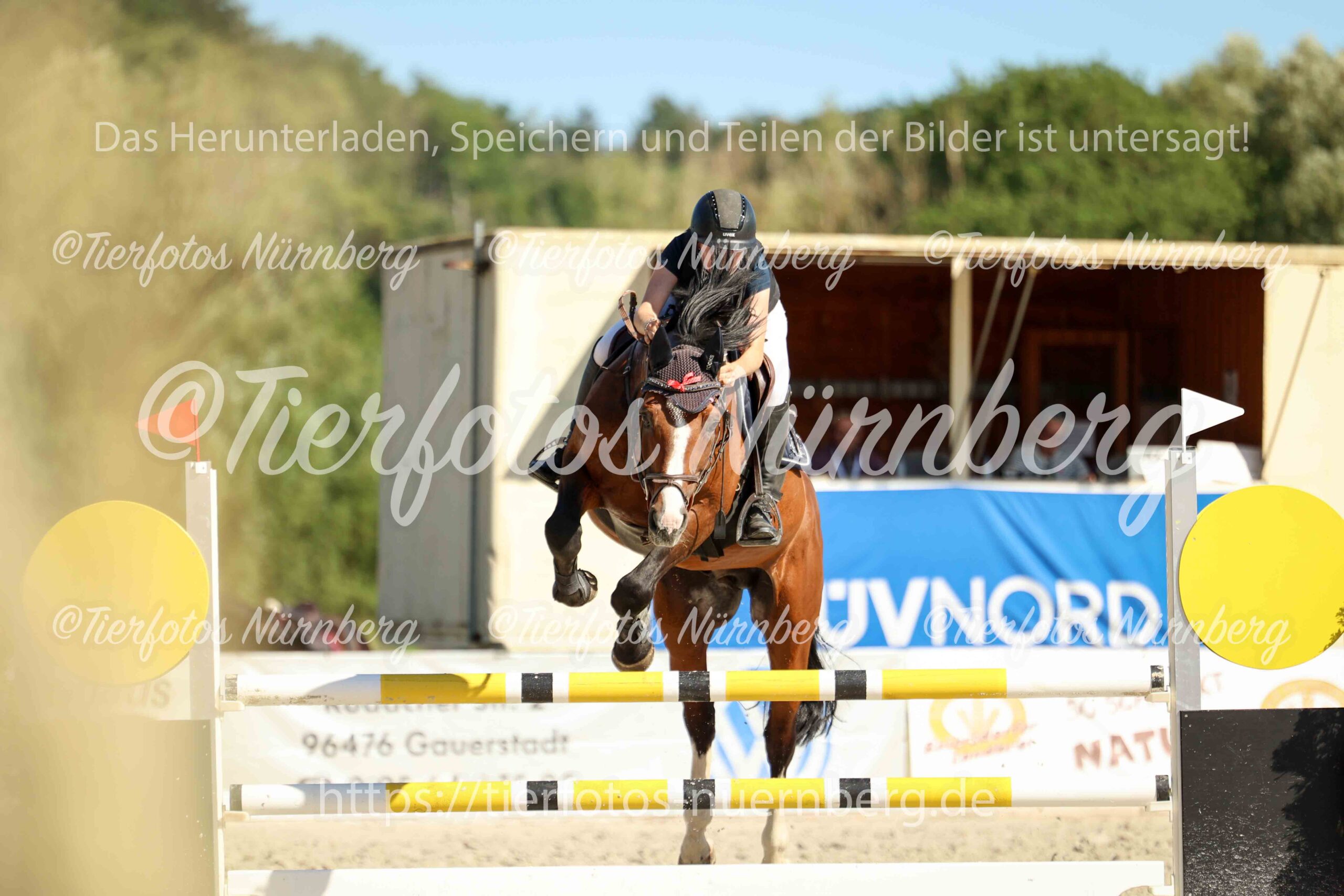 Turnierfoto