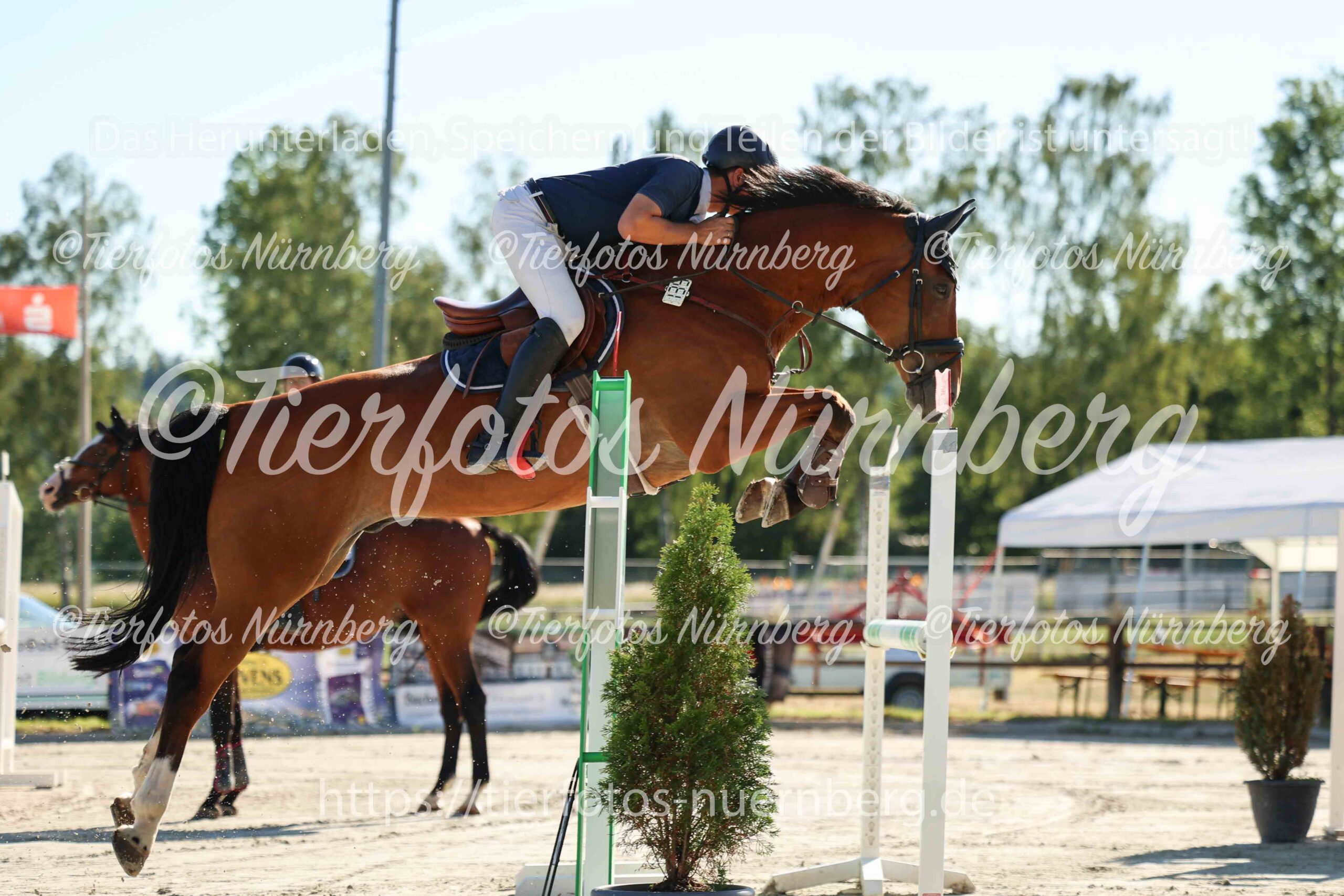 Turnierfoto