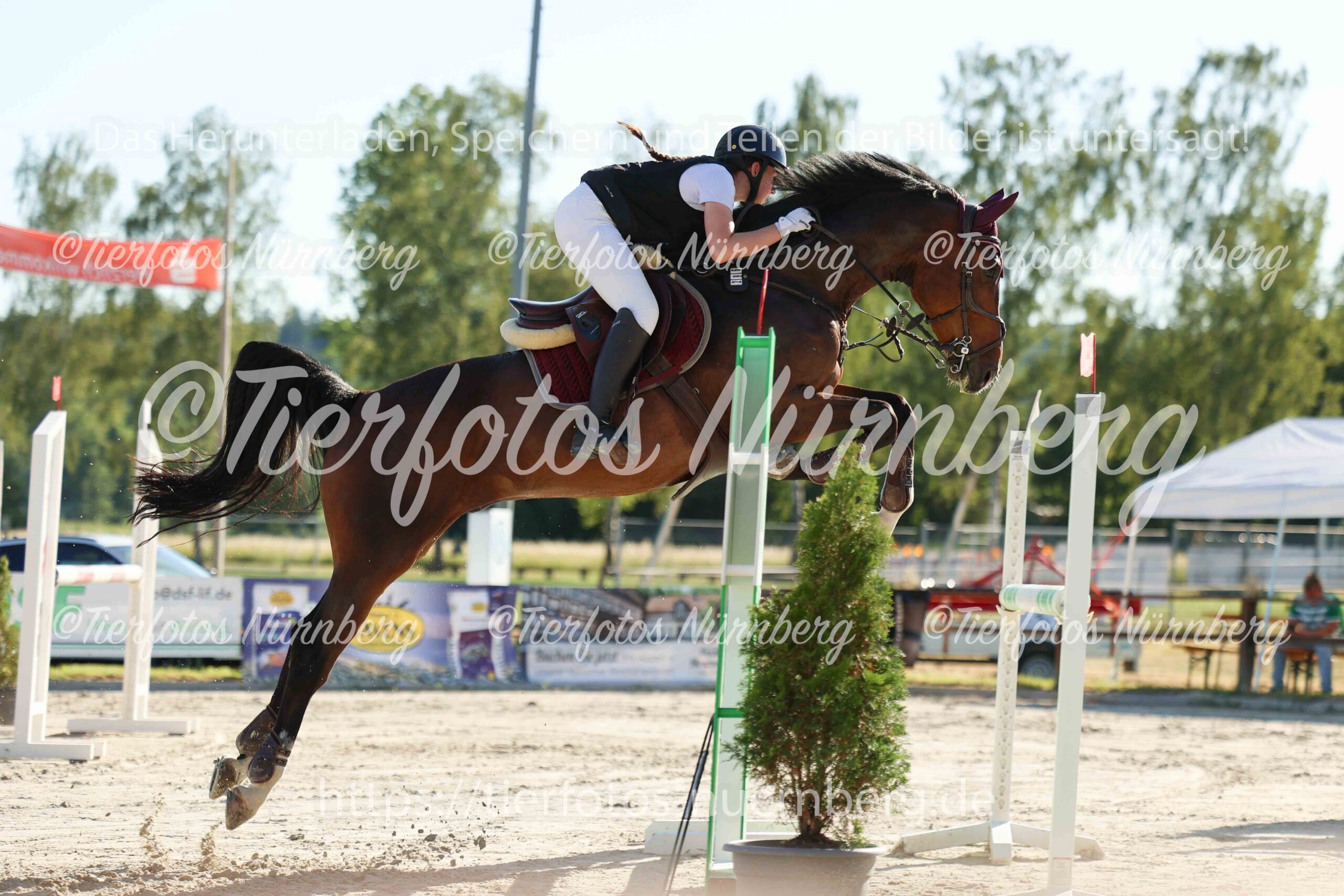 Turnierfoto