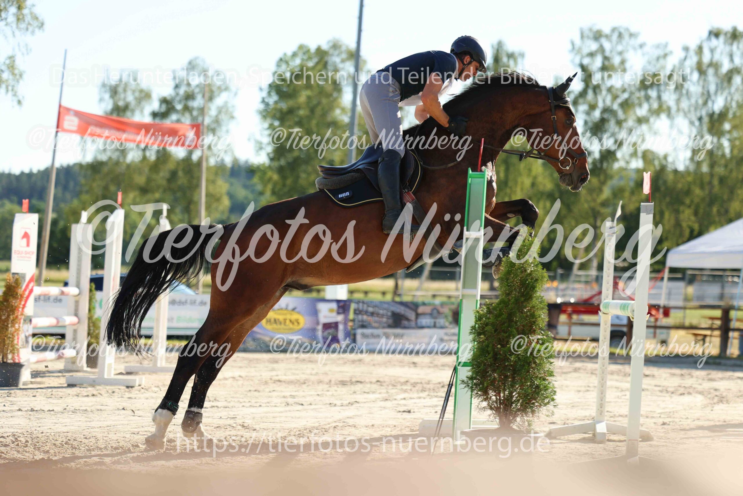 Turnierfoto