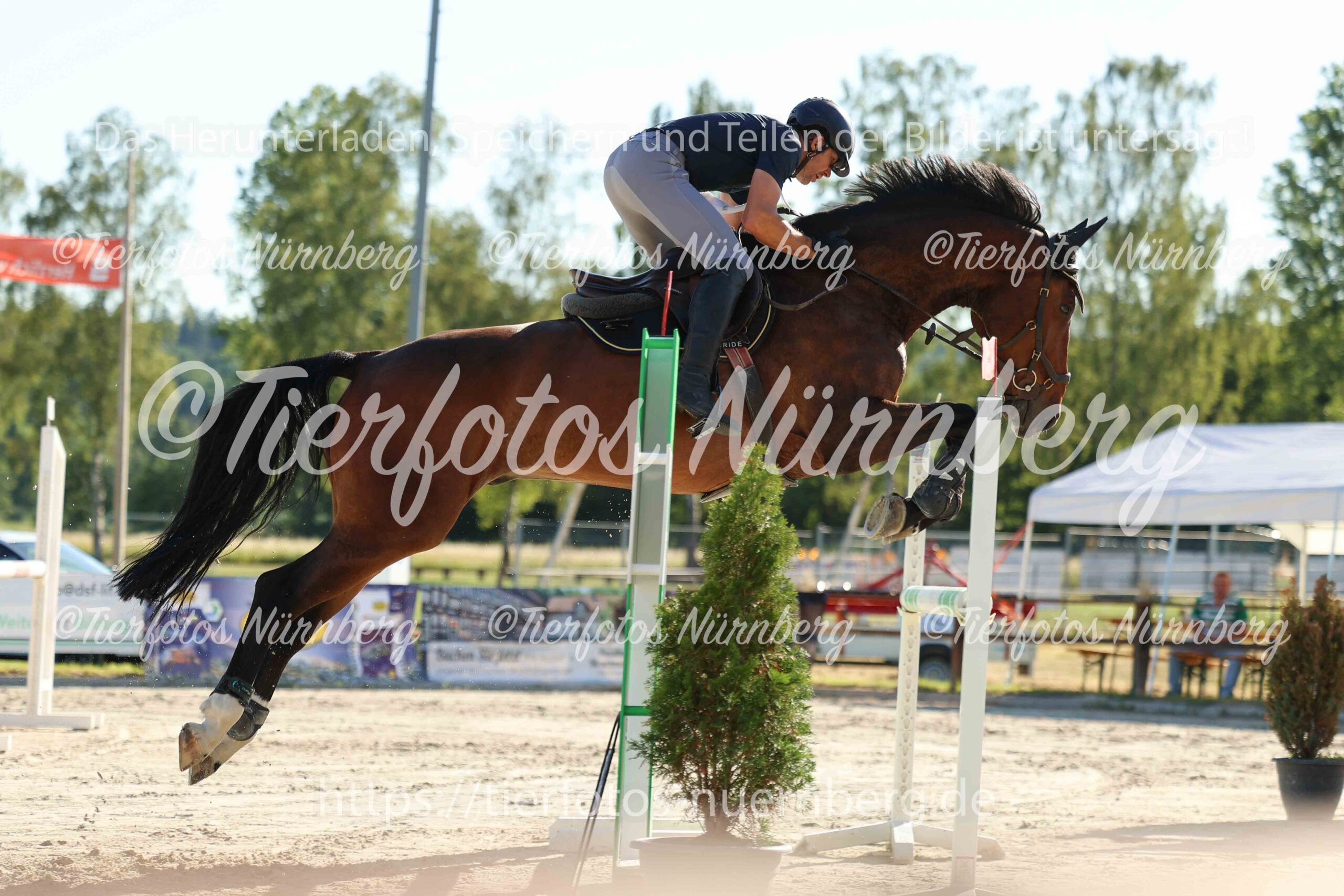 Turnierfoto