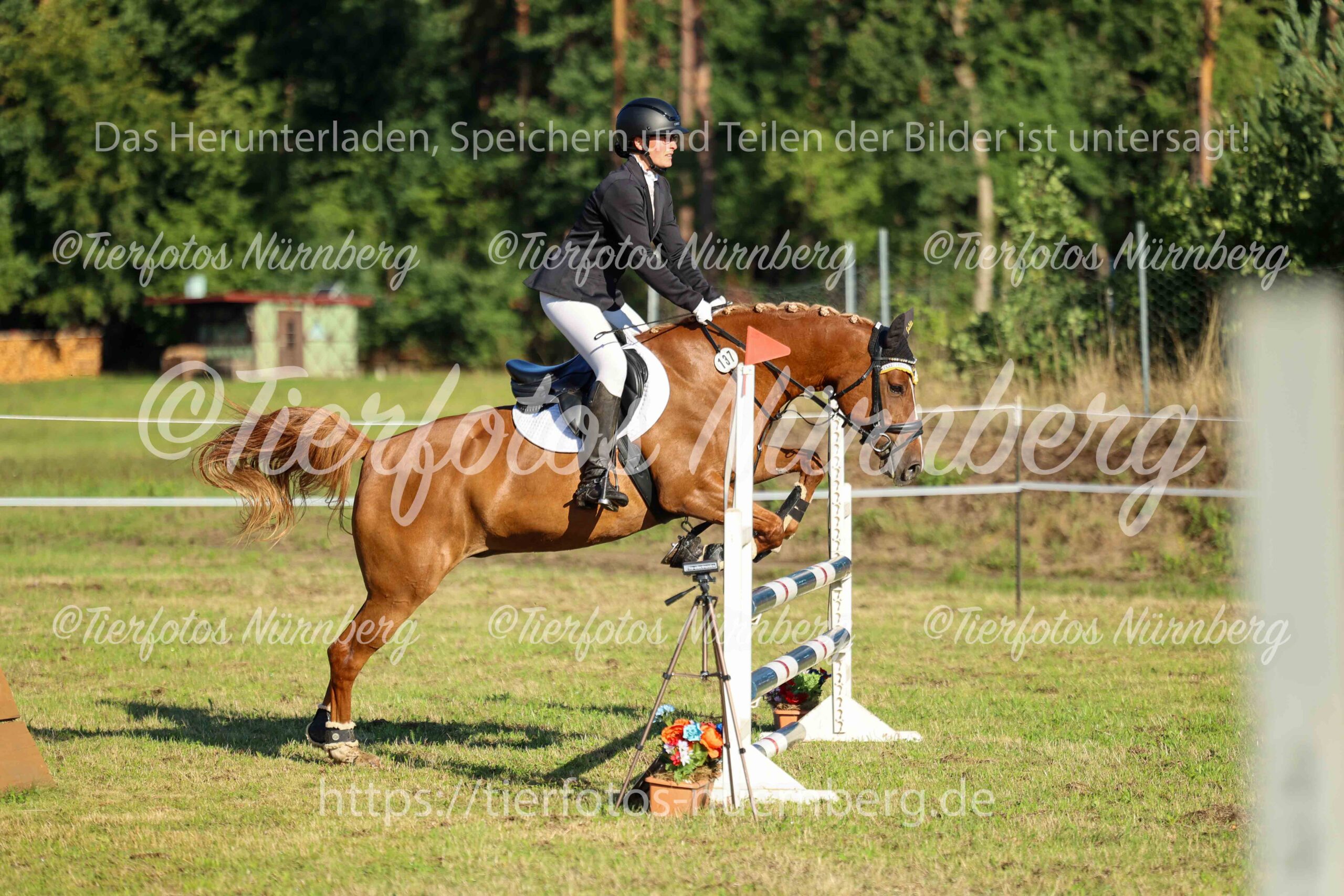 Turnierfoto