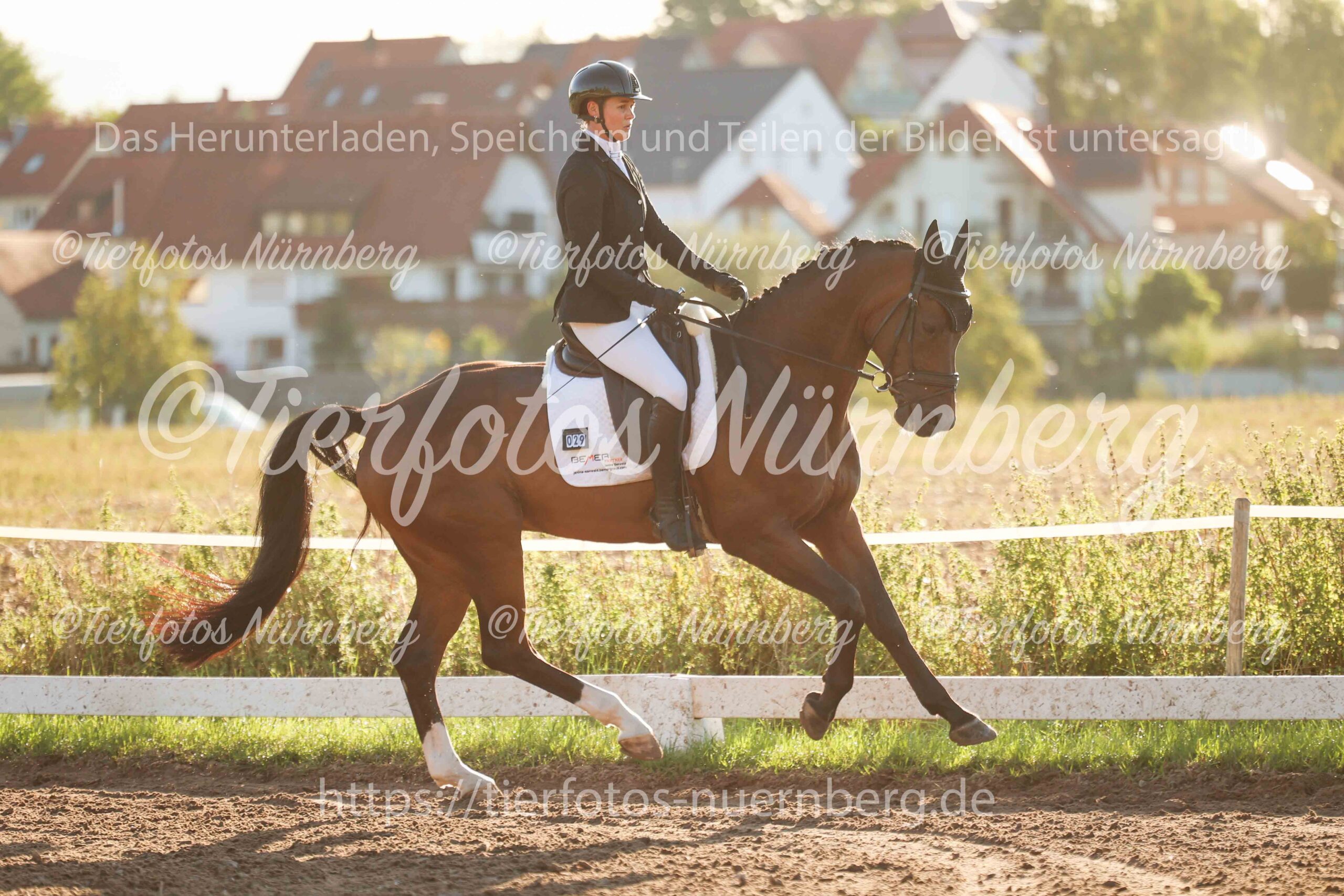 Turnierfoto