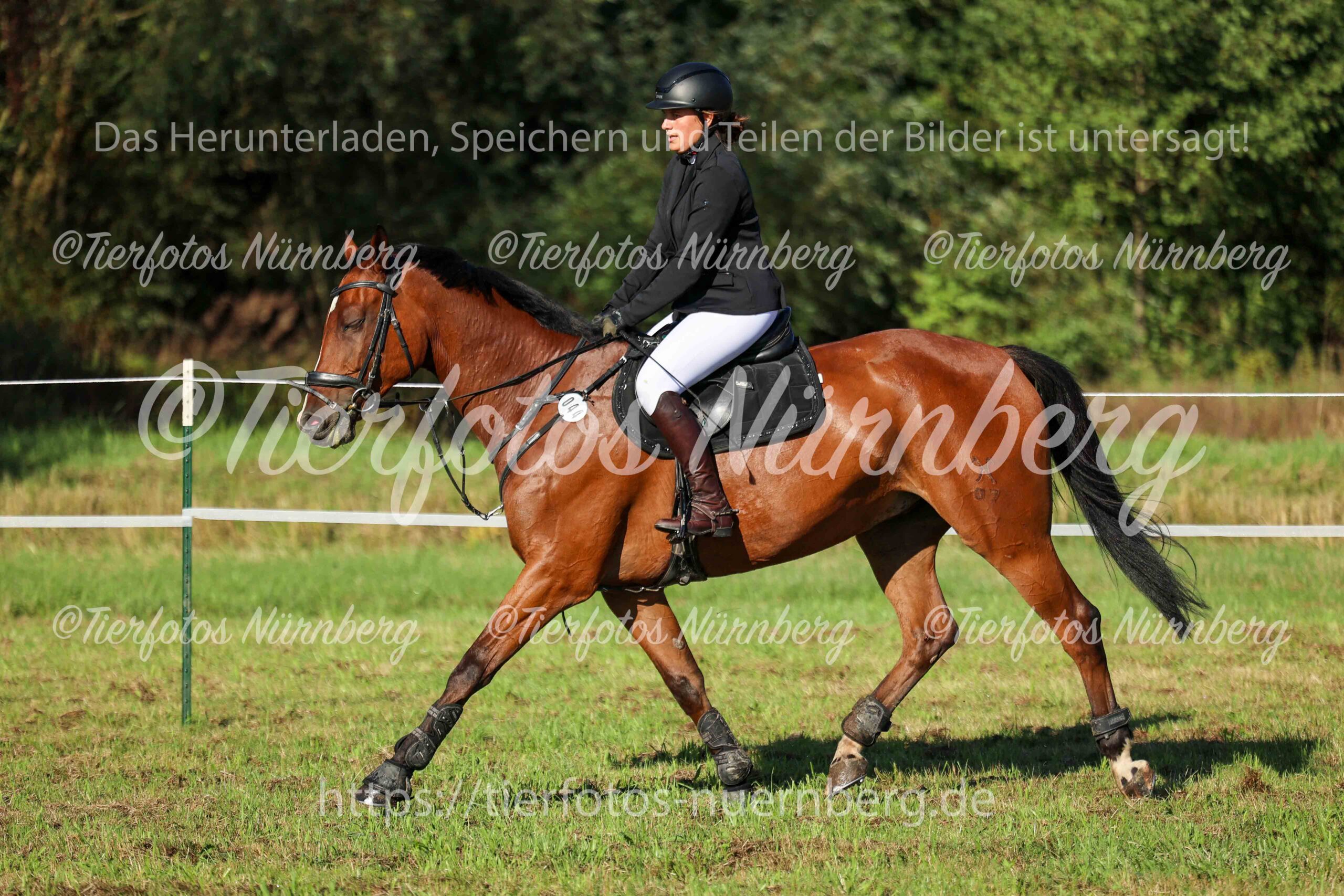 Turnierfoto