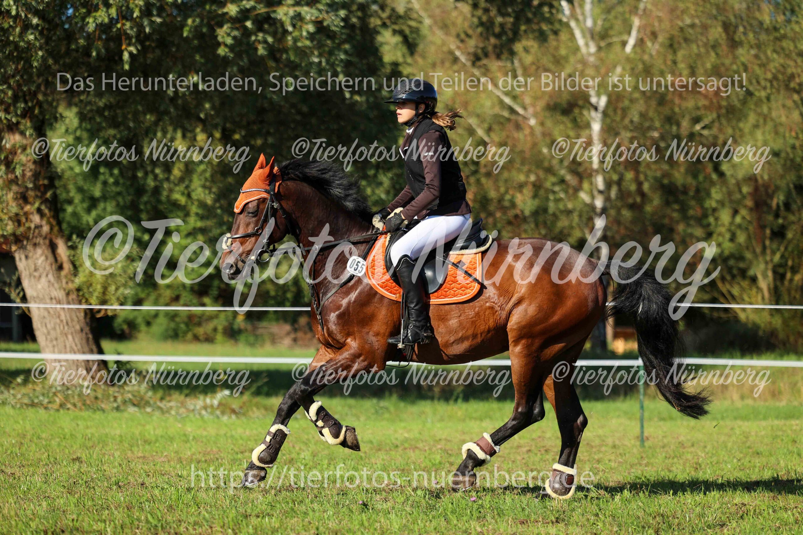 Turnierfoto