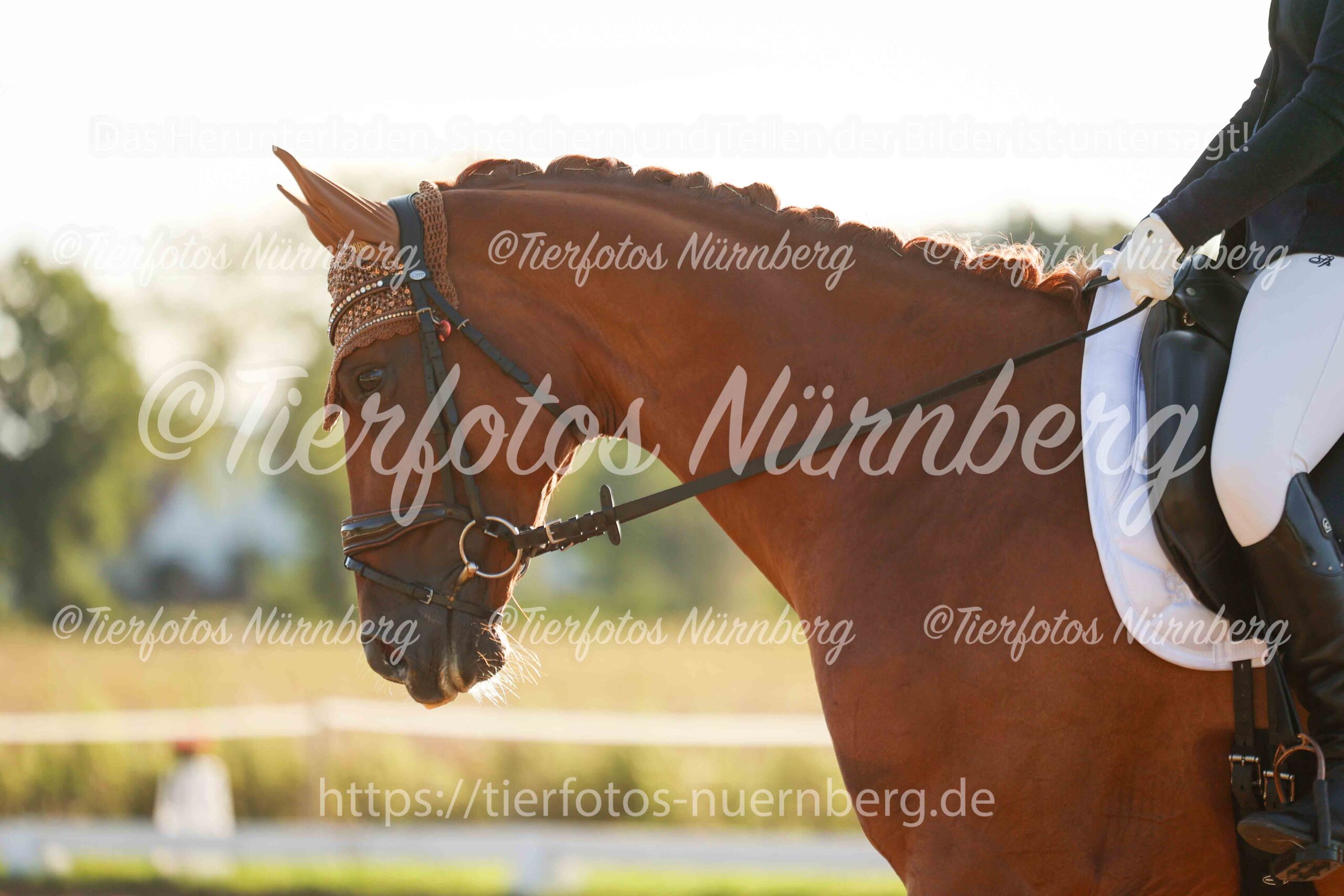 Turnierfoto