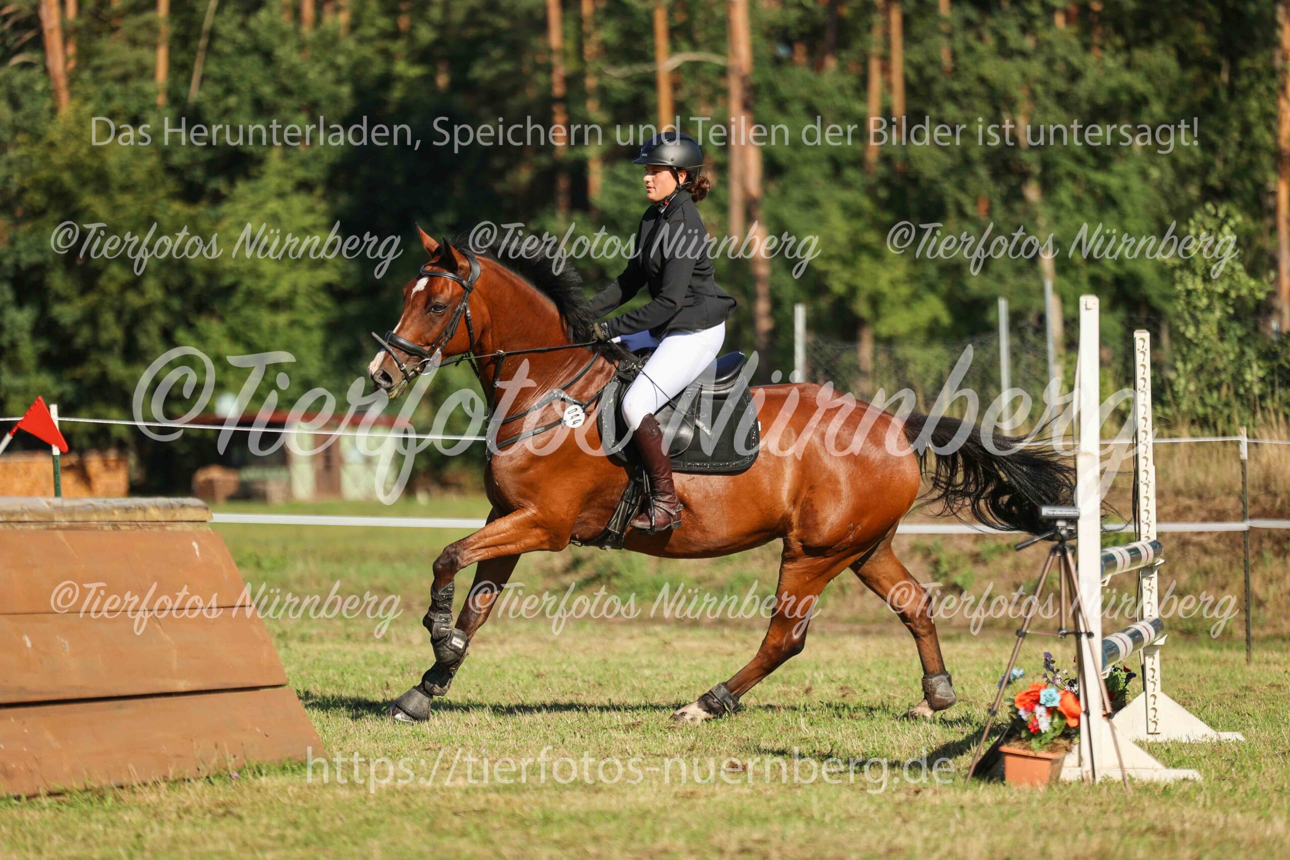 Turnierfoto